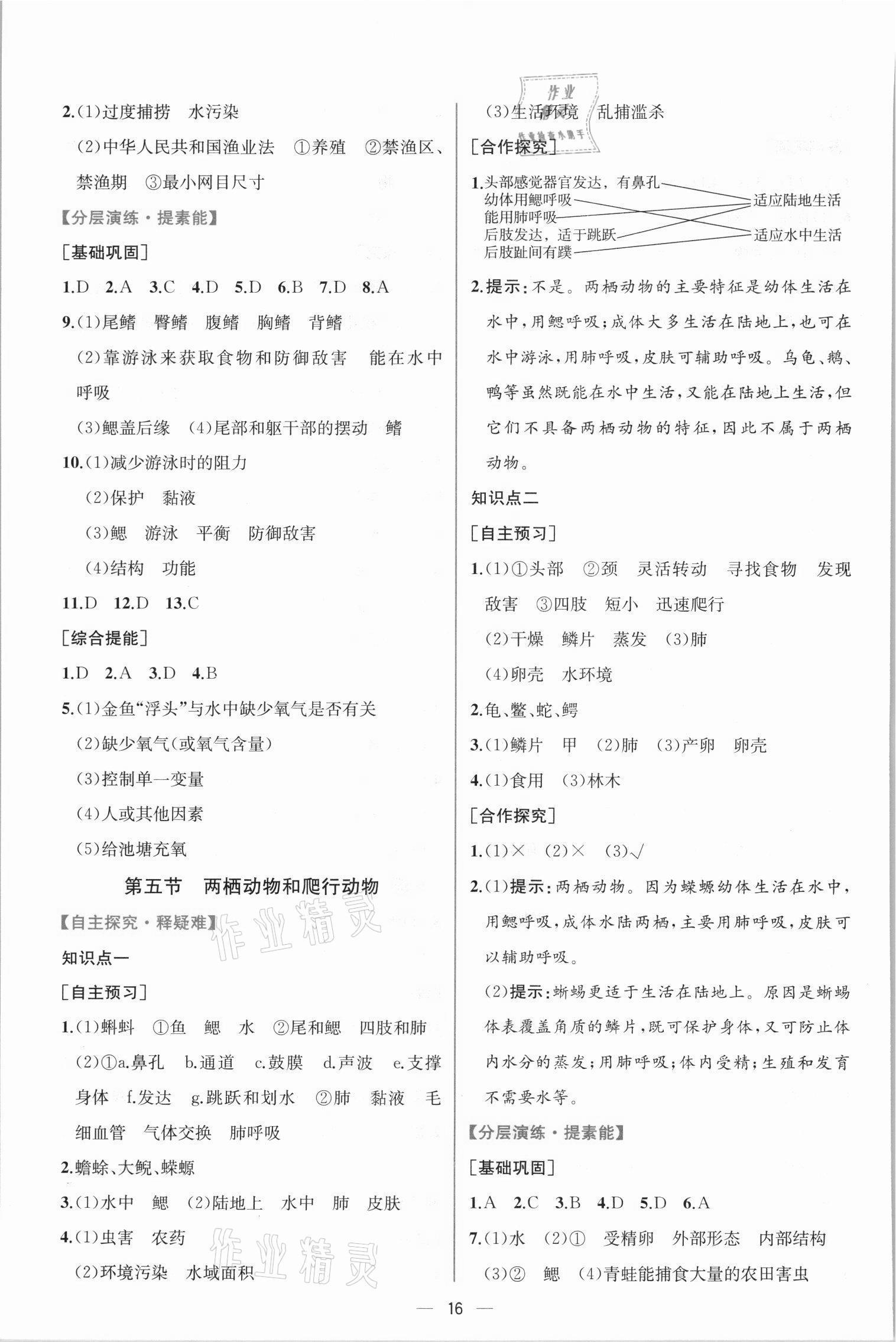 2021年同步學(xué)歷案課時練八年級生物學(xué)上冊人教版 第4頁