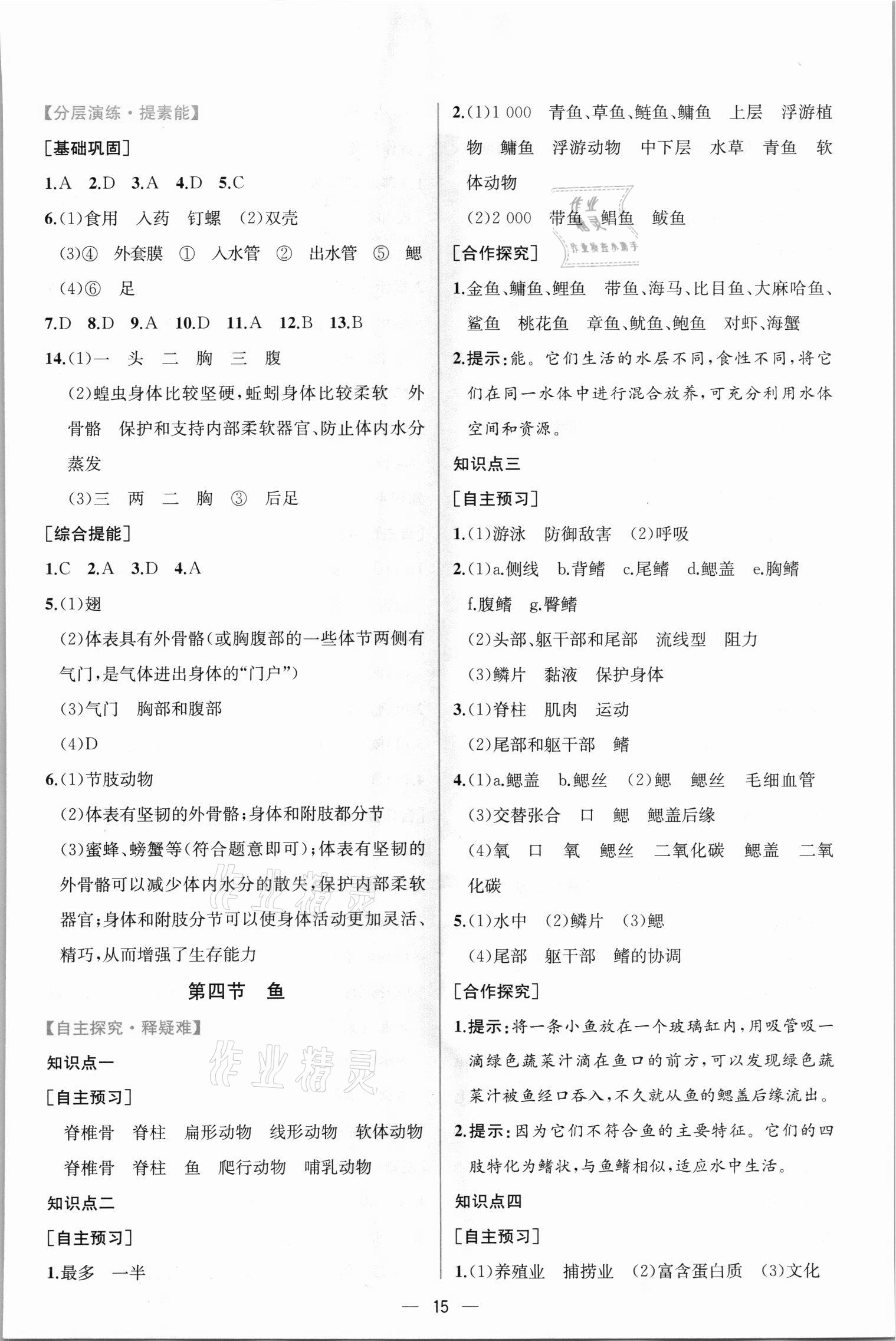 2021年同步學(xué)歷案課時(shí)練八年級生物學(xué)上冊人教版 第3頁