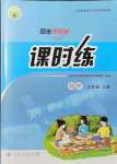 2021年同步學(xué)歷案課時(shí)練九年級(jí)物理上冊(cè)人教版