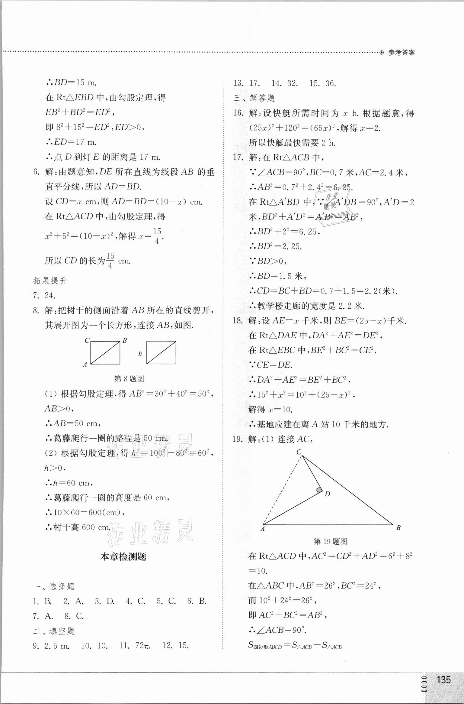 2021年同步練習(xí)冊八年級數(shù)學(xué)上冊北師大版山東教育出版社 參考答案第3頁