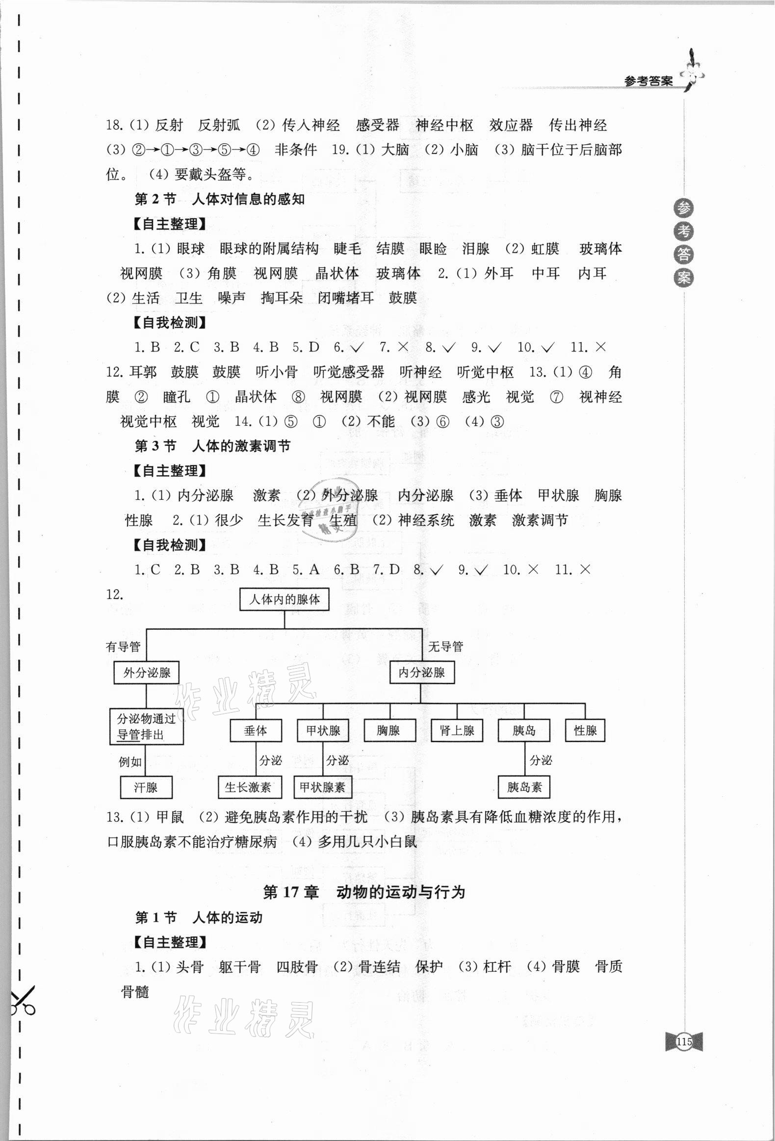 2021年學(xué)習(xí)與評(píng)價(jià)八年級(jí)生物上冊(cè)蘇科版 第3頁(yè)