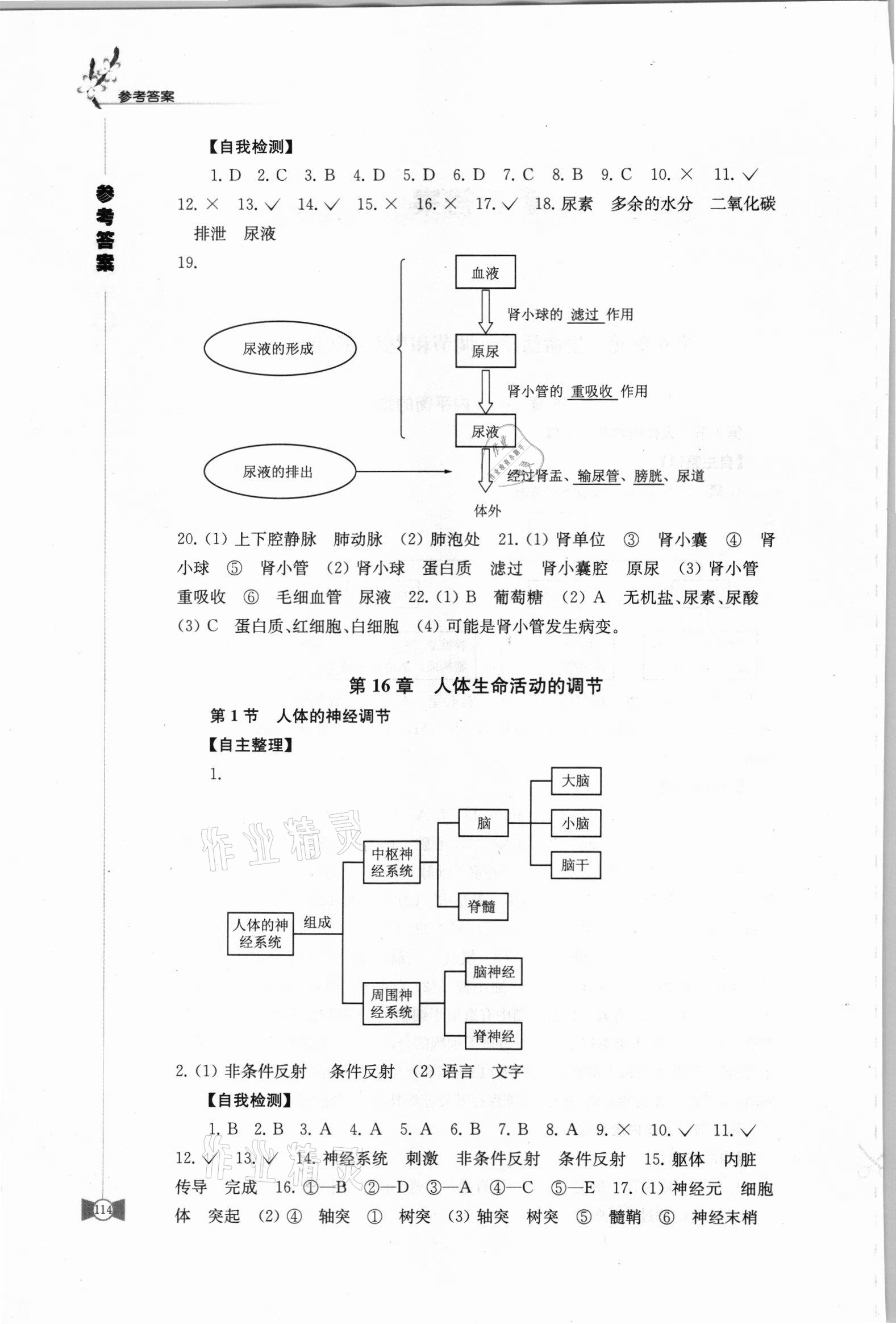 2021年學(xué)習(xí)與評(píng)價(jià)八年級(jí)生物上冊(cè)蘇科版 第2頁(yè)