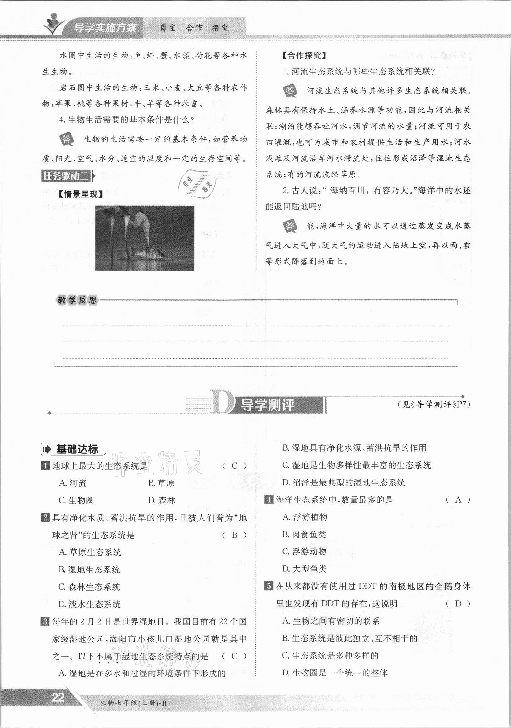 2021年金太陽導(dǎo)學(xué)案七年級生物上冊人教版 參考答案第22頁