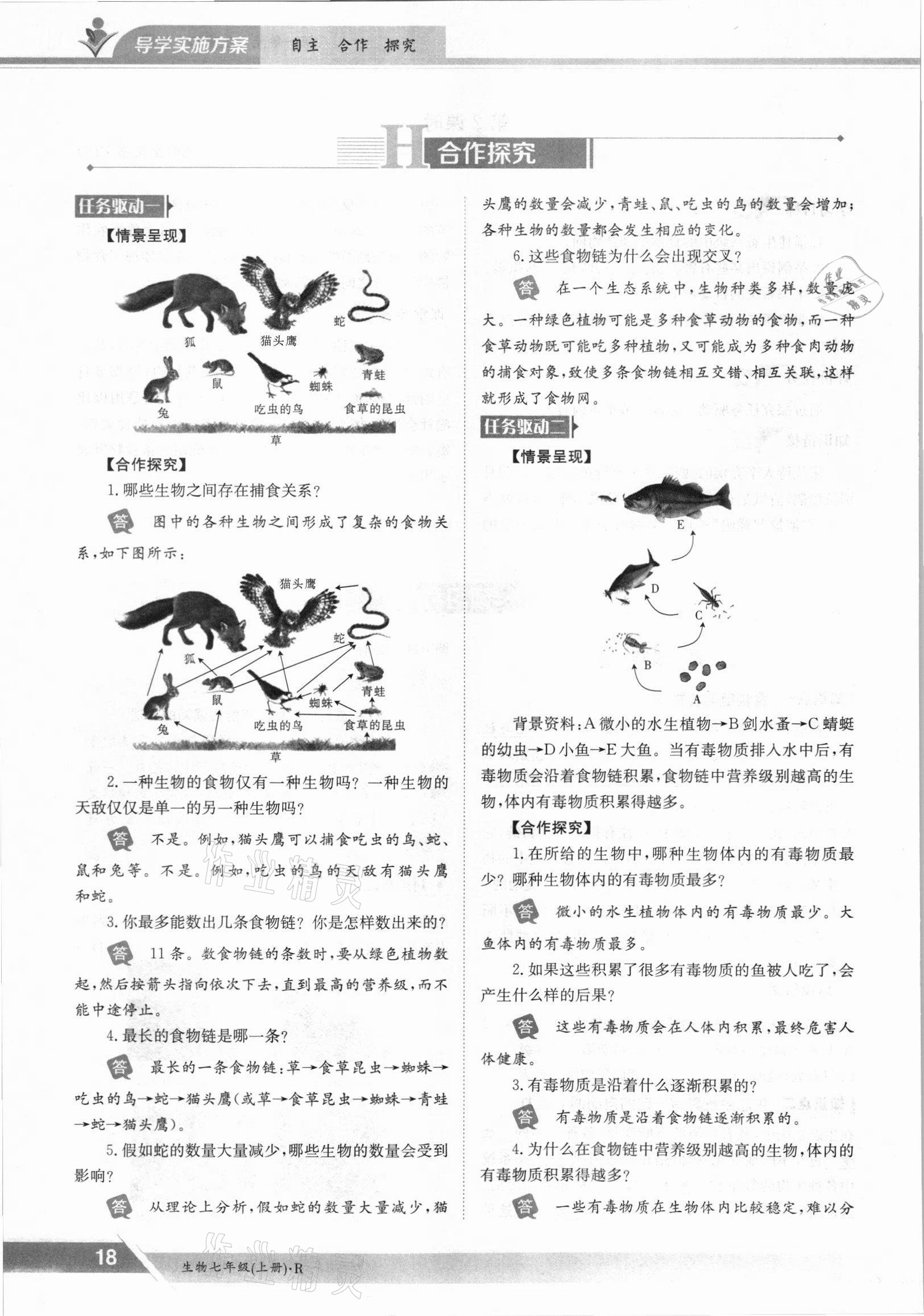 2021年金太陽導(dǎo)學(xué)案七年級生物上冊人教版 參考答案第18頁