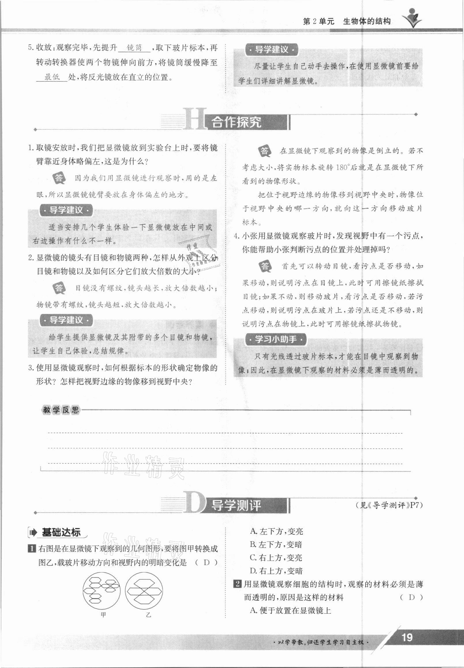 2021年金太阳导学案七年级生物上册北师大版 参考答案第19页