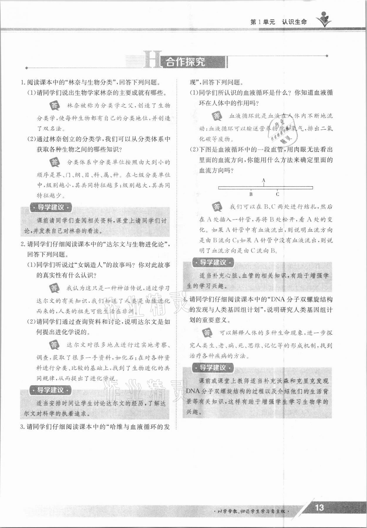 2021年金太阳导学案七年级生物上册北师大版 参考答案第13页