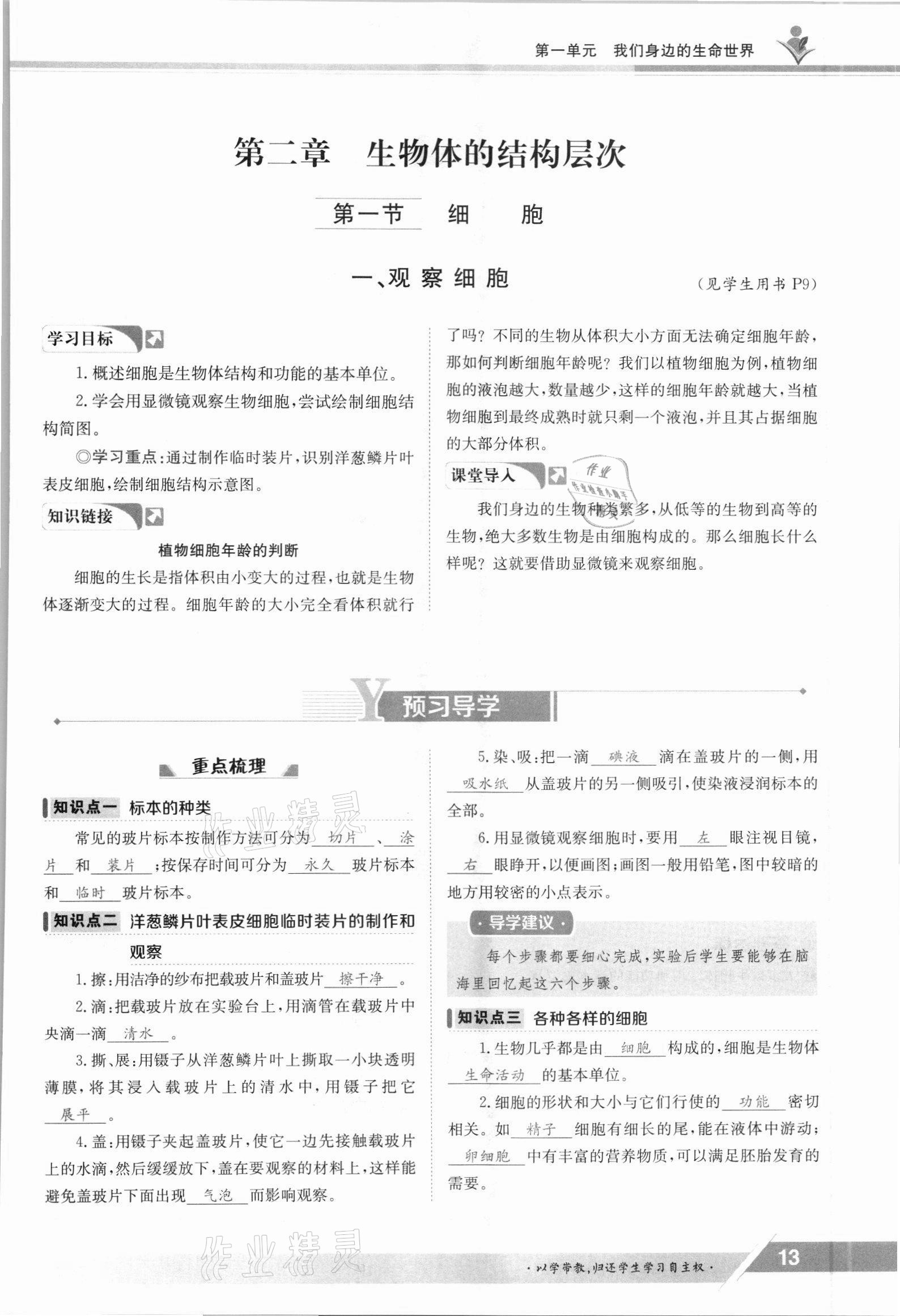 2021年金太陽導(dǎo)學(xué)案七年級生物上冊冀少版 參考答案第13頁