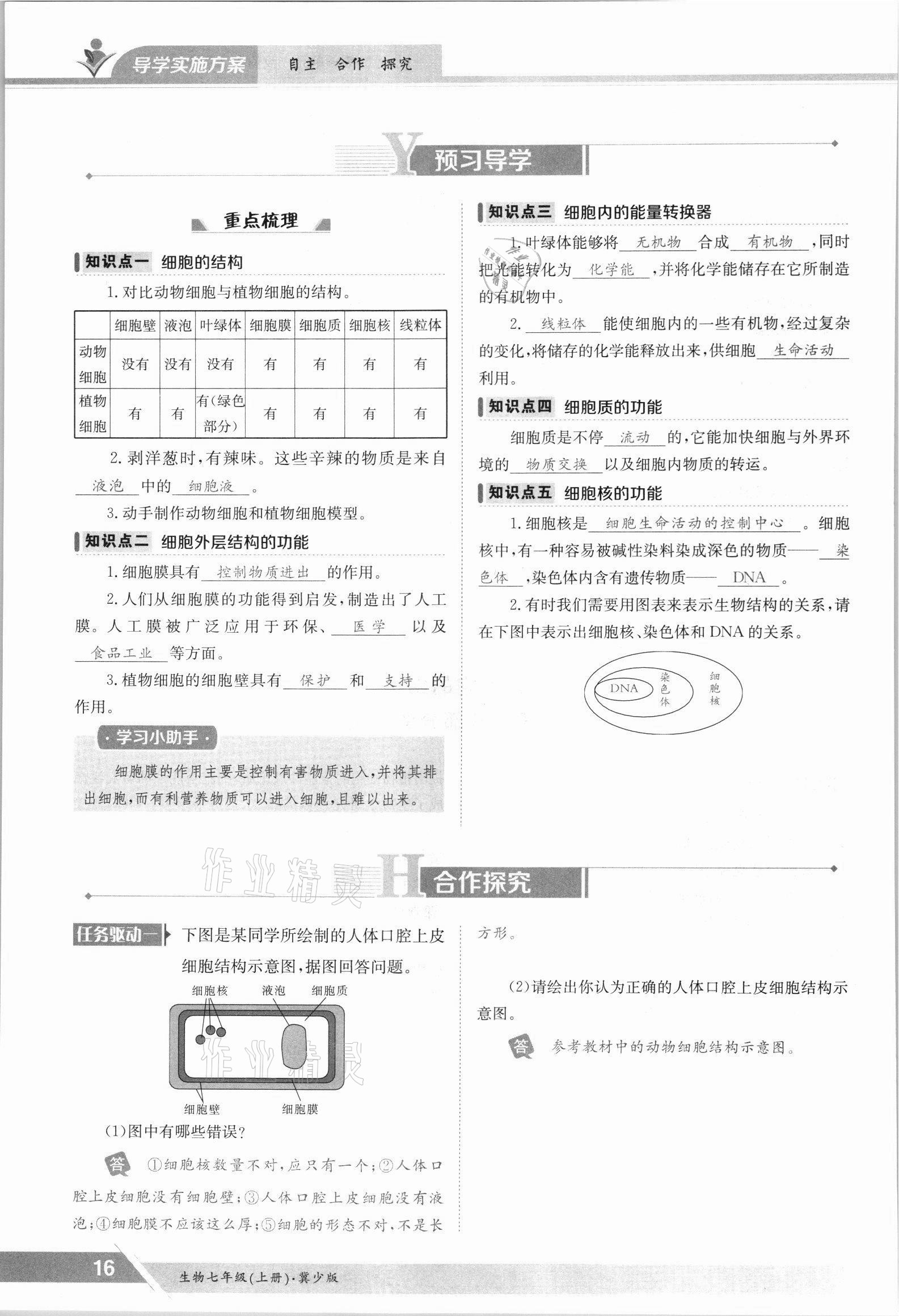 2021年金太阳导学案七年级生物上册冀少版 参考答案第16页