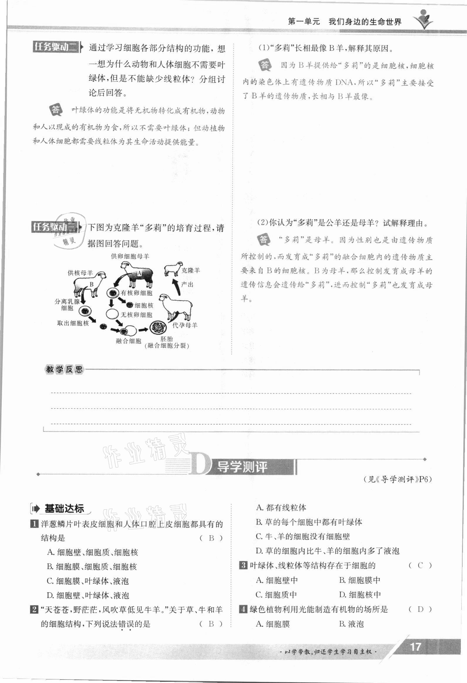 2021年金太阳导学案七年级生物上册冀少版 参考答案第17页