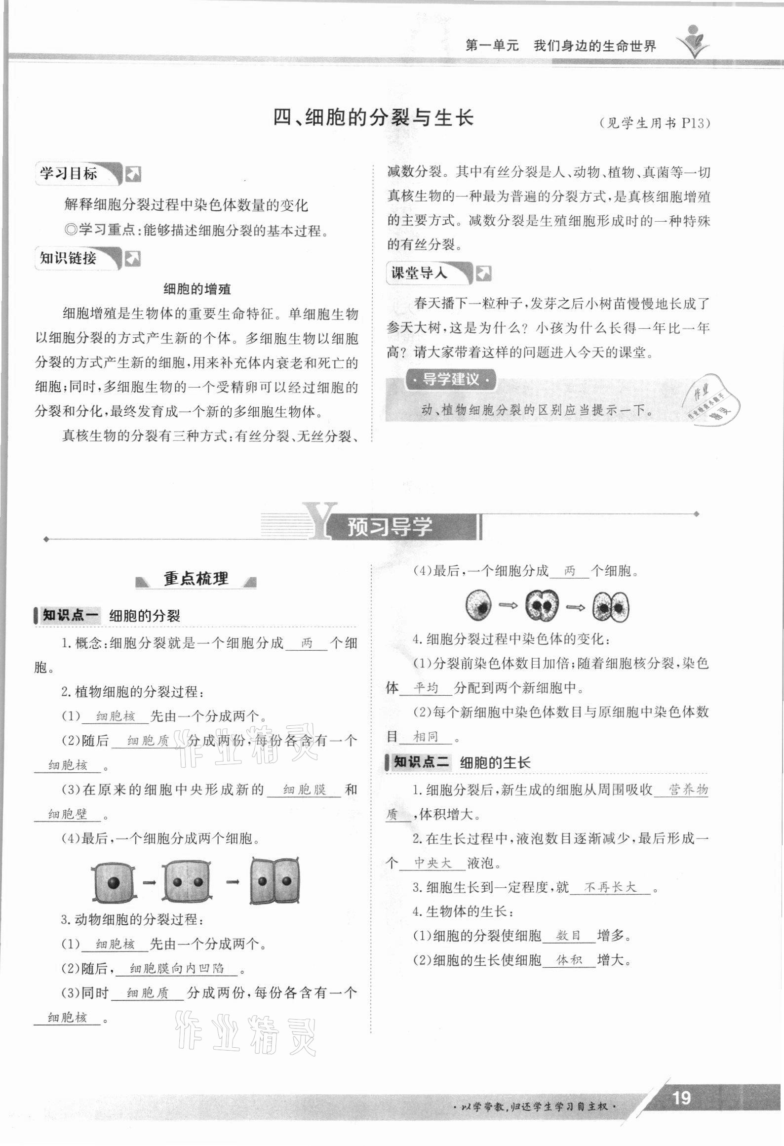 2021年金太阳导学案七年级生物上册冀少版 参考答案第19页