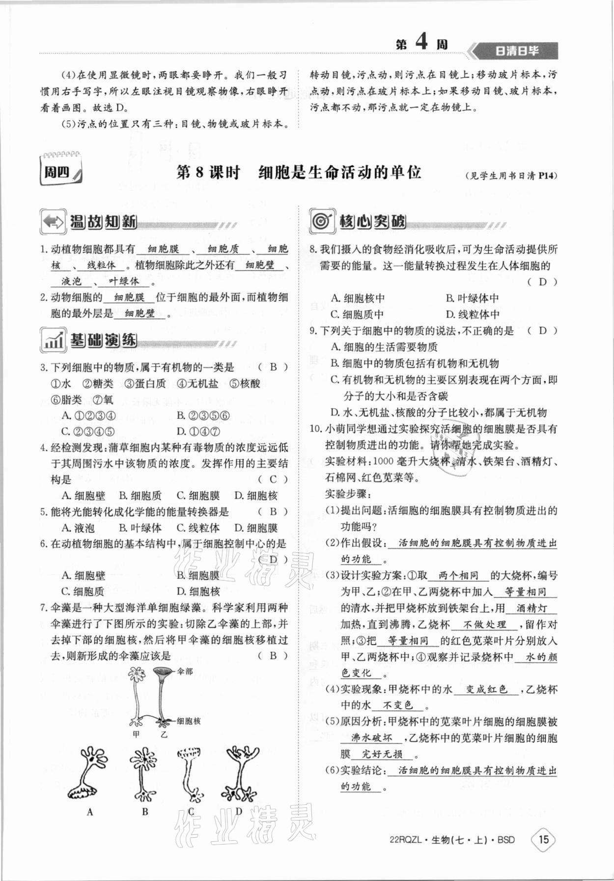 2021年日清周练七年级生物上册北师大版 参考答案第15页