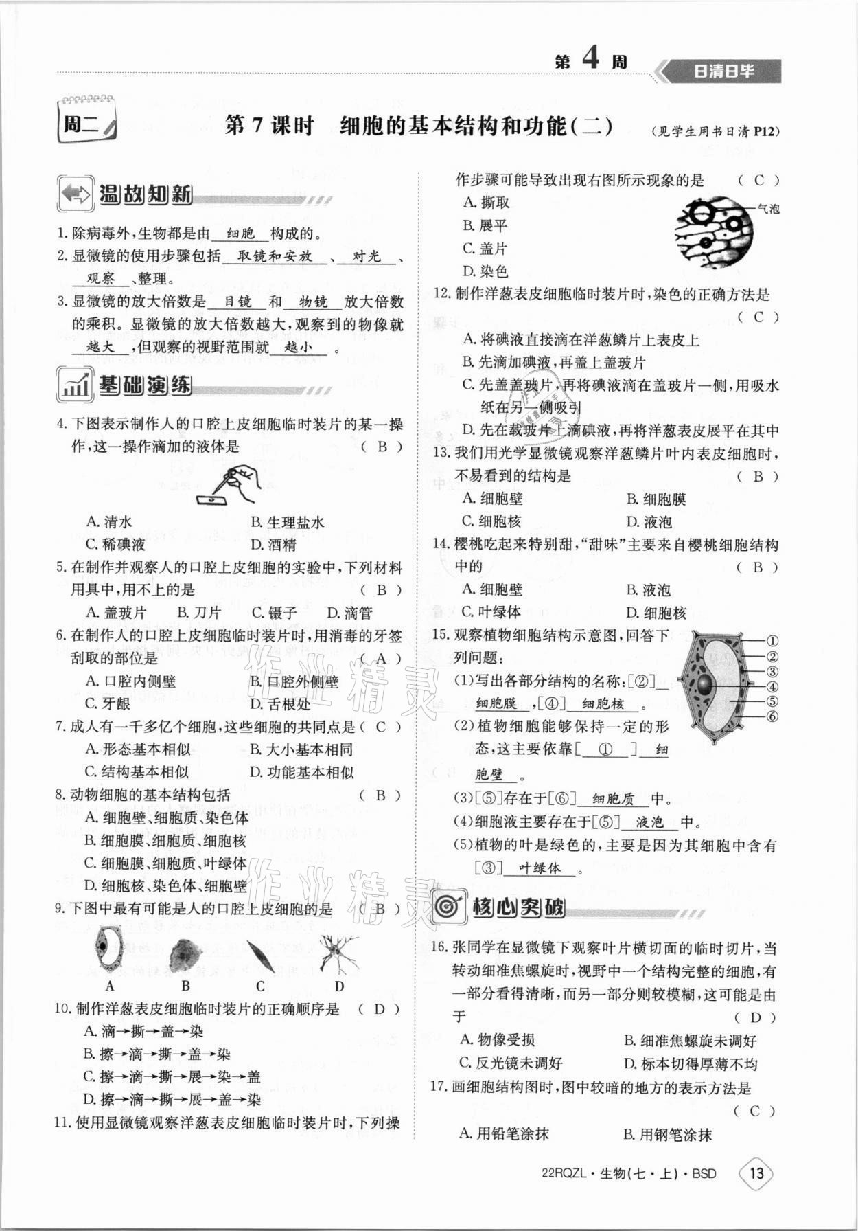 2021年日清周練七年級生物上冊北師大版 參考答案第13頁