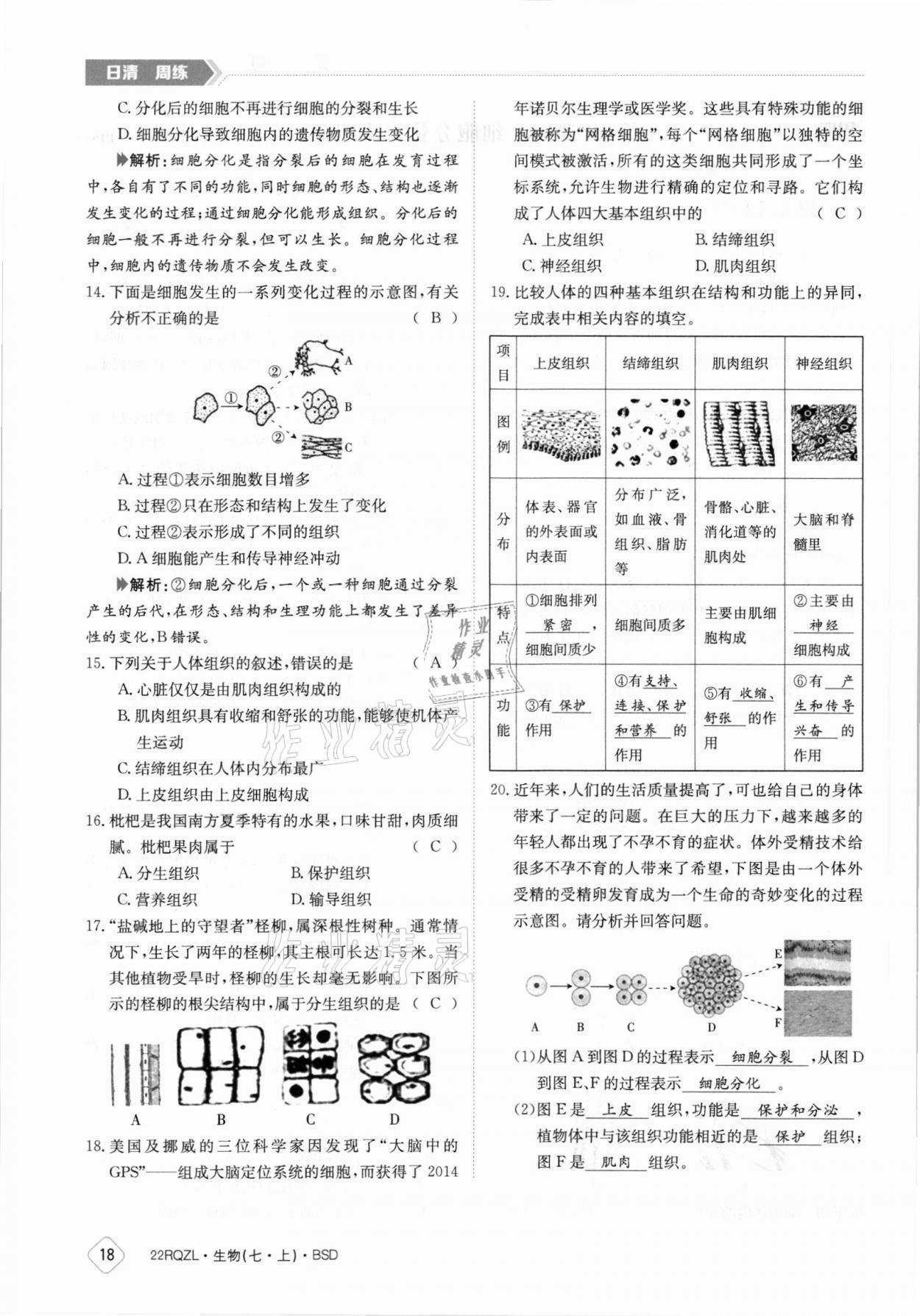 2021年日清周練七年級生物上冊北師大版 參考答案第18頁