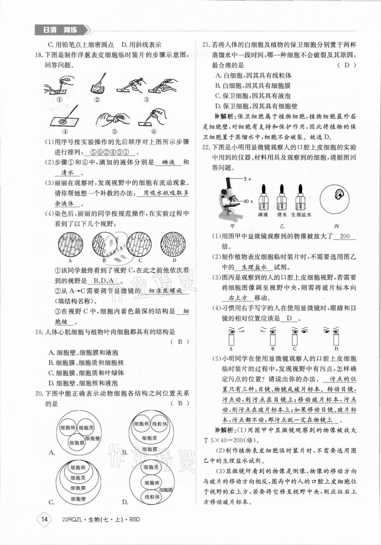 2021年日清周练七年级生物上册北师大版 参考答案第14页