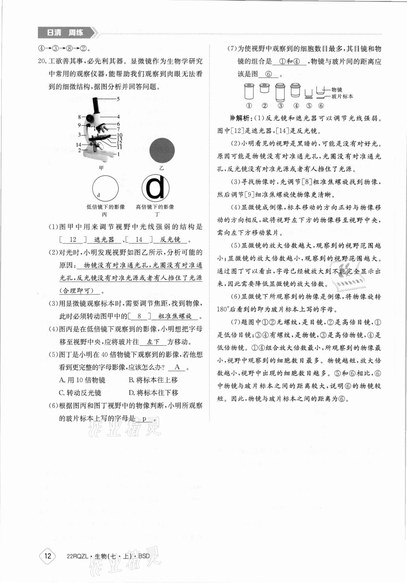 2021年日清周练七年级生物上册北师大版 参考答案第12页