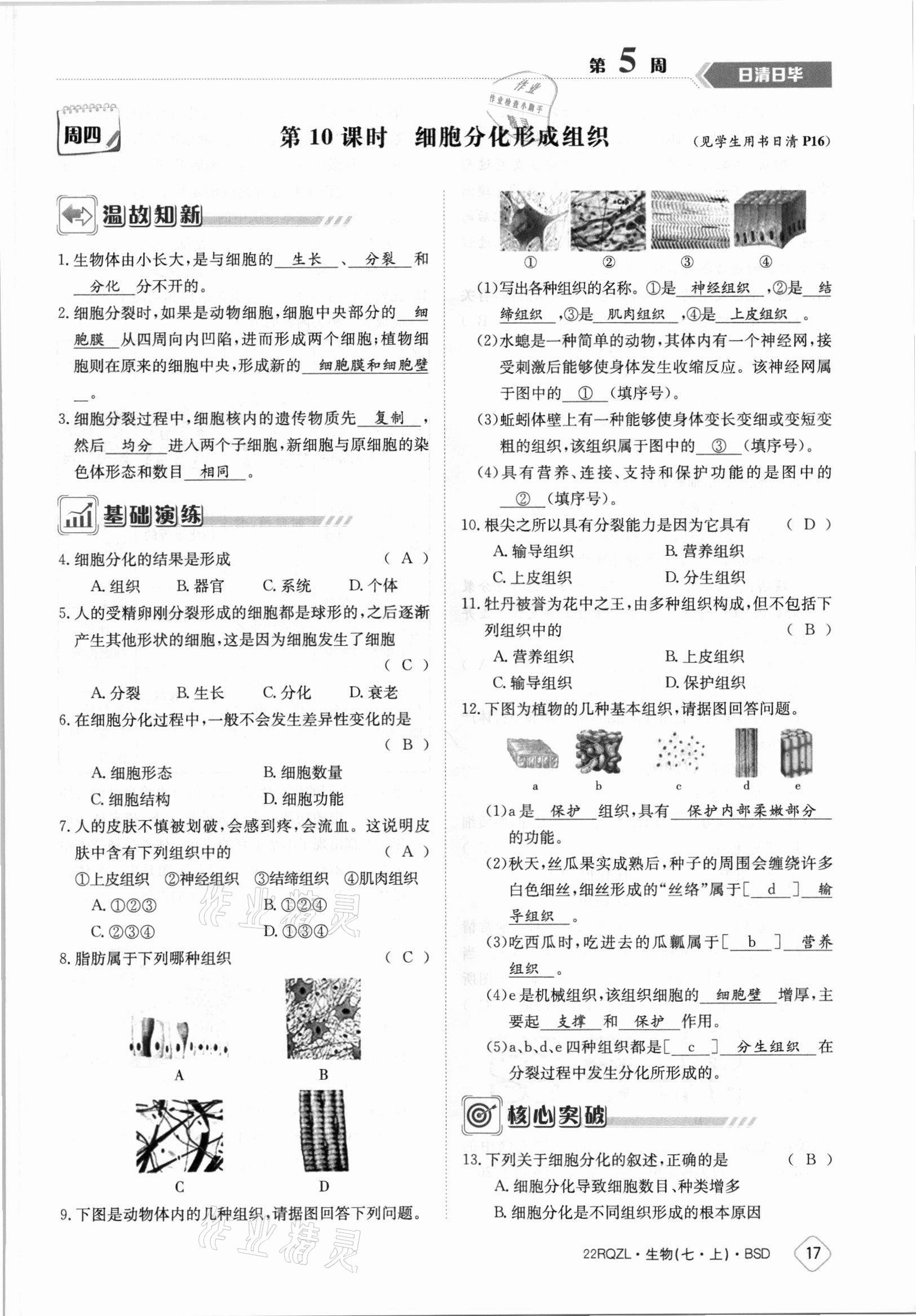 2021年日清周练七年级生物上册北师大版 参考答案第17页