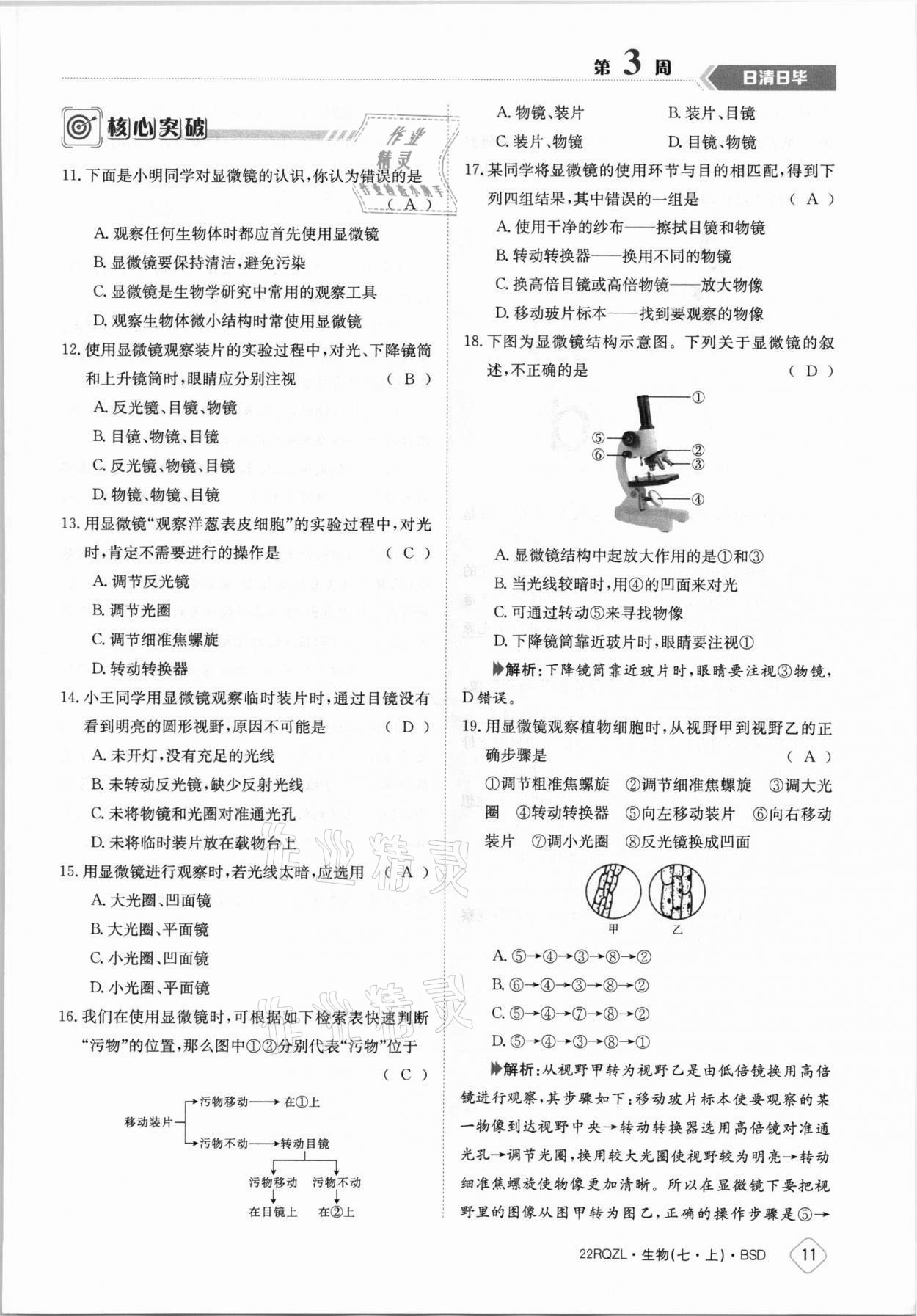 2021年日清周练七年级生物上册北师大版 参考答案第11页