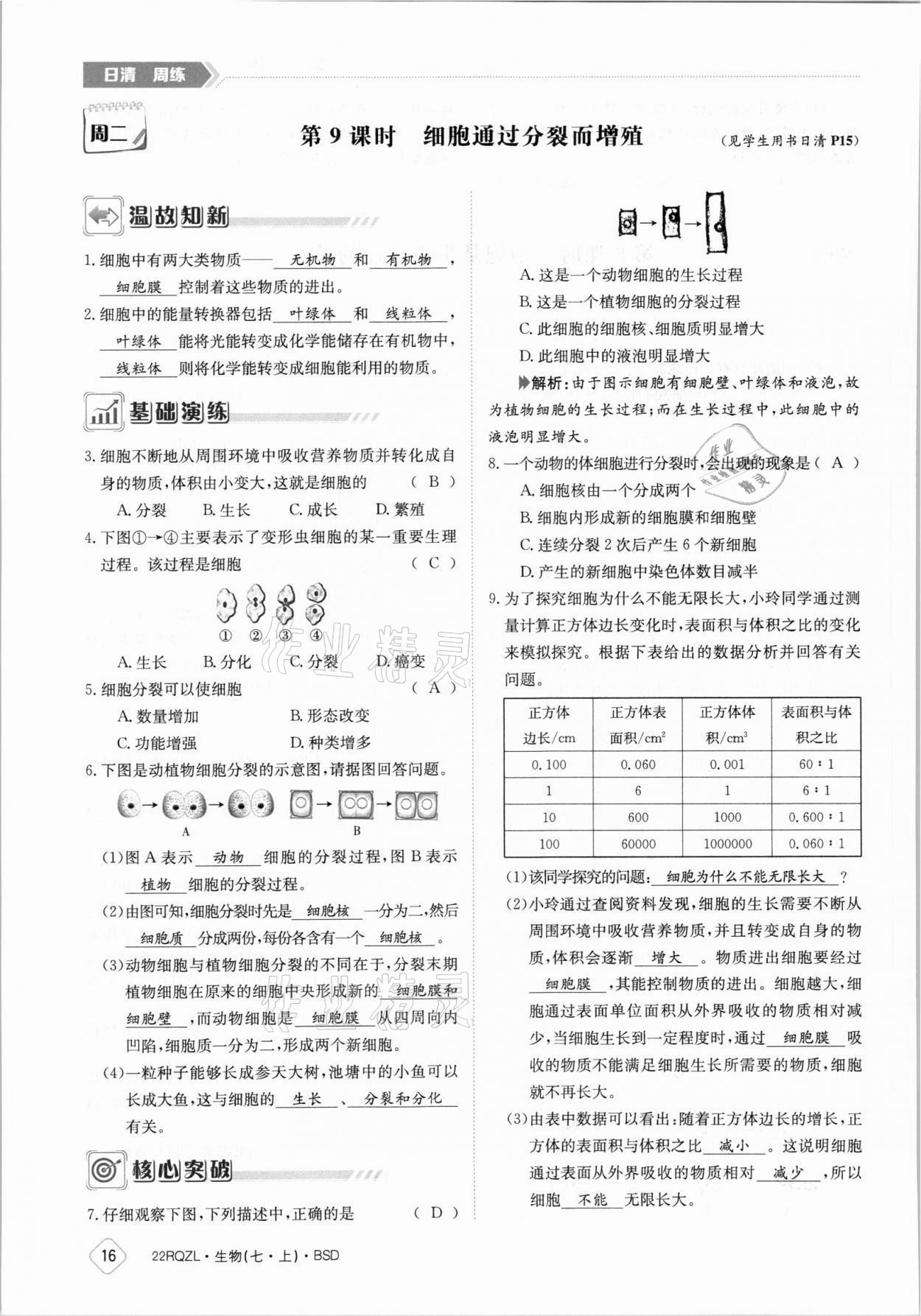 2021年日清周练七年级生物上册北师大版 参考答案第16页