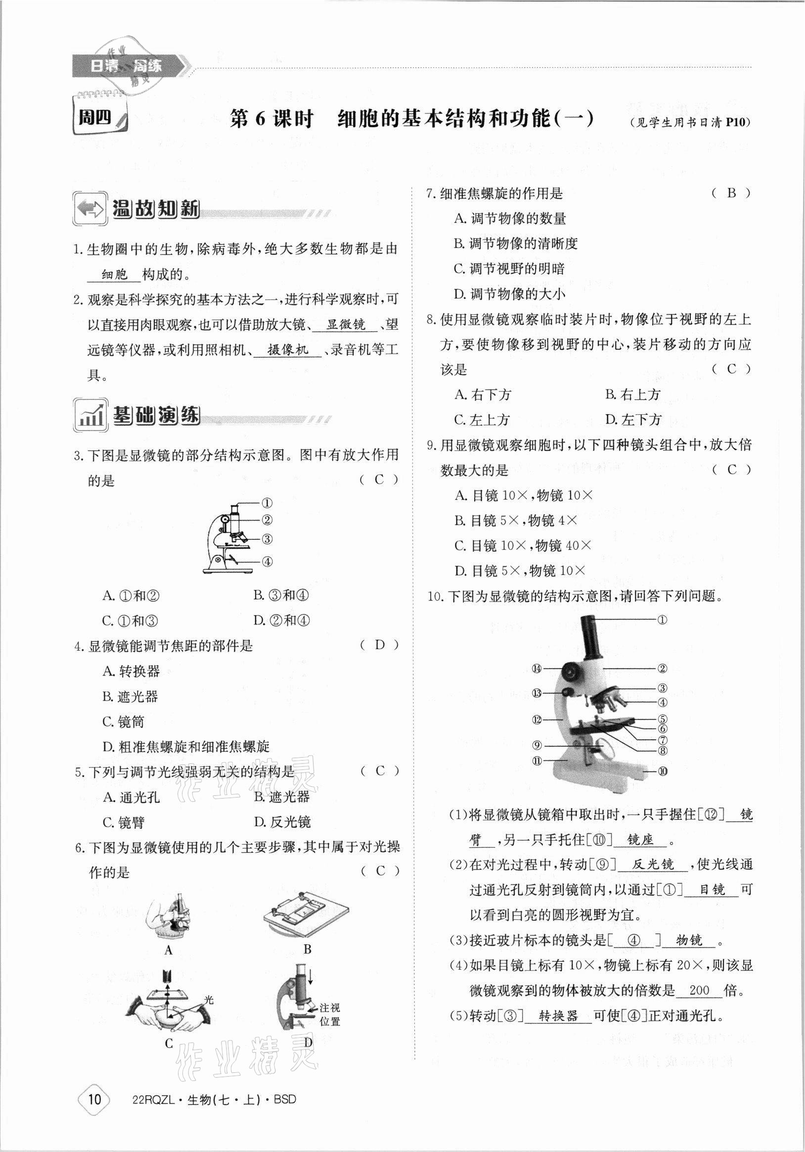 2021年日清周练七年级生物上册北师大版 参考答案第10页