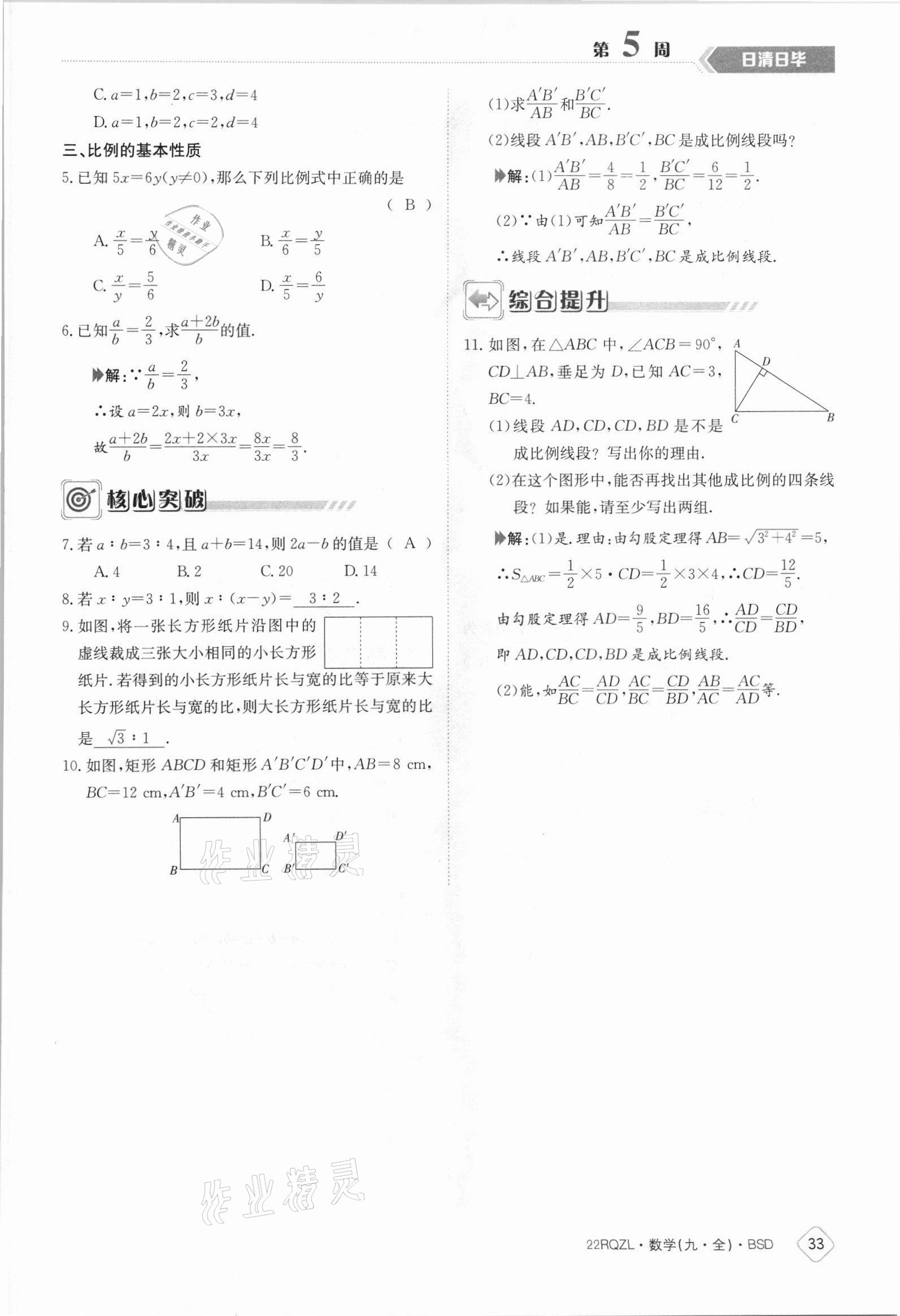 2021年日清周練九年級數(shù)學全一冊北師大版 參考答案第33頁