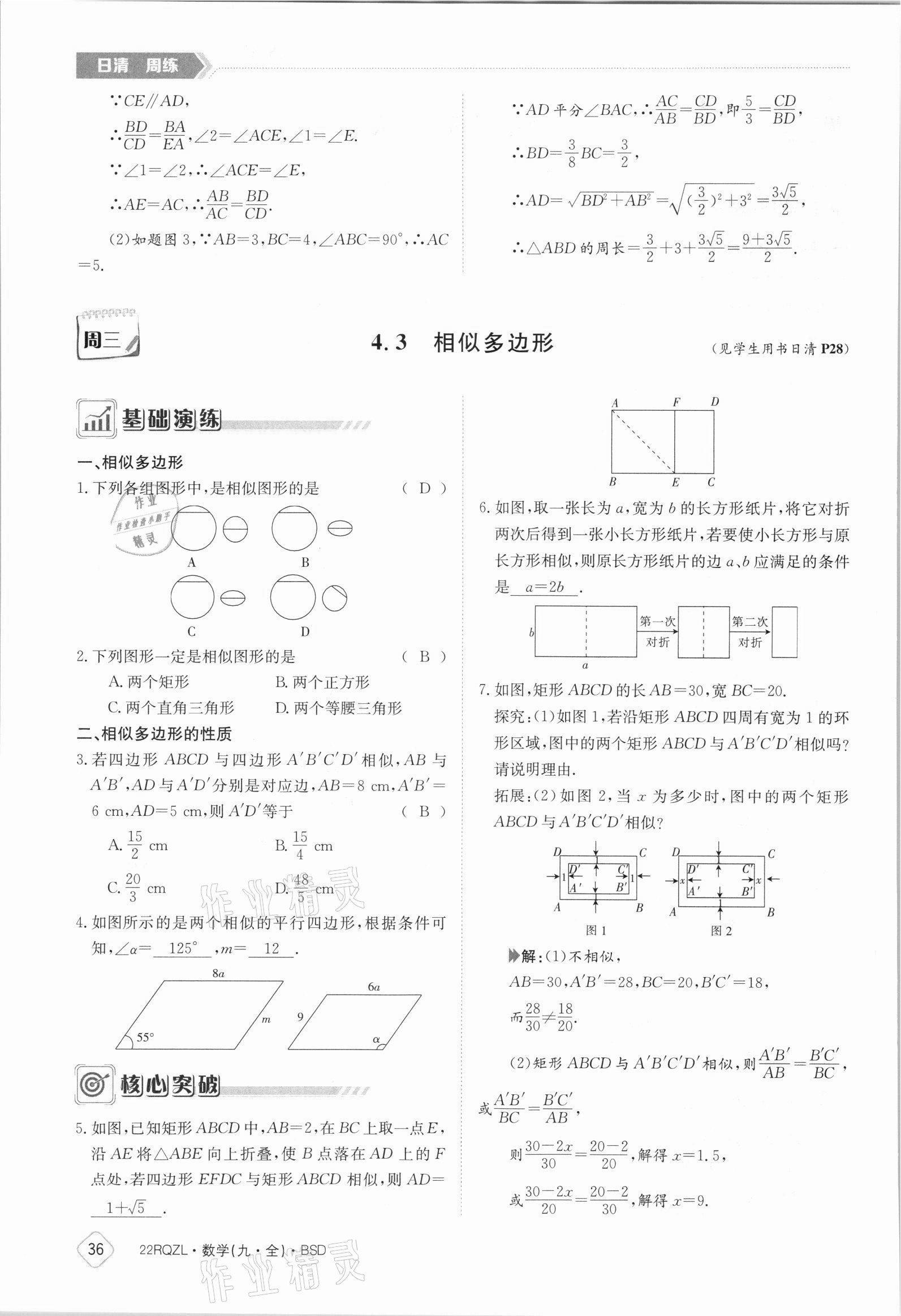 2021年日清周練九年級(jí)數(shù)學(xué)全一冊(cè)北師大版 參考答案第36頁