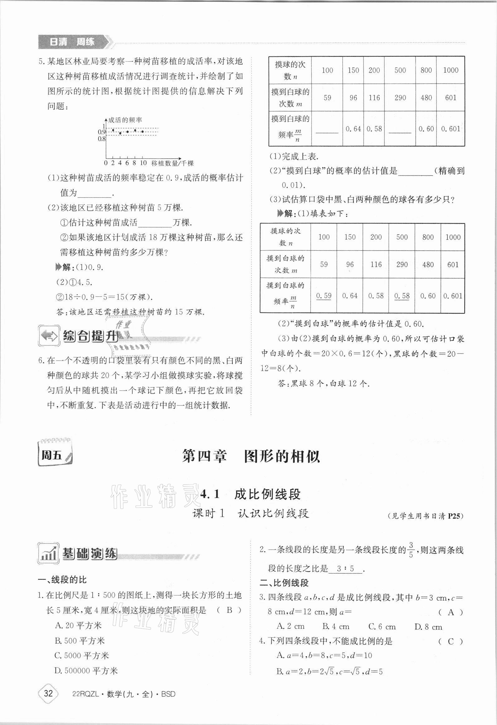 2021年日清周練九年級(jí)數(shù)學(xué)全一冊(cè)北師大版 參考答案第32頁