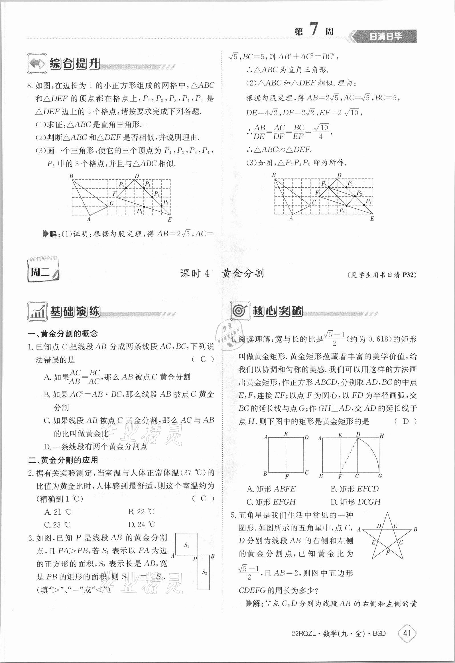 2021年日清周練九年級數(shù)學全一冊北師大版 參考答案第41頁