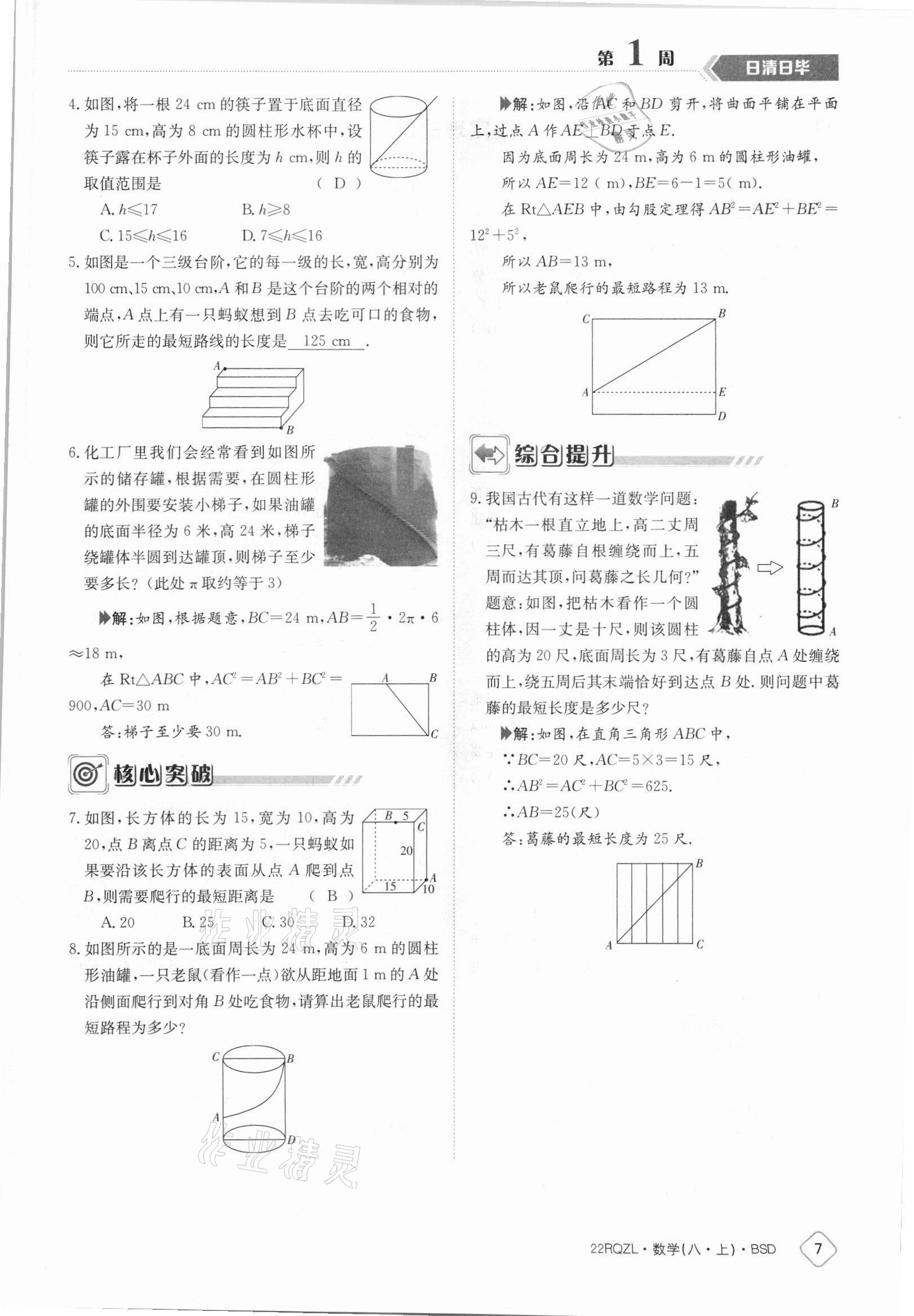 2021年日清周練八年級(jí)數(shù)學(xué)上冊(cè)北師大版 參考答案第7頁(yè)