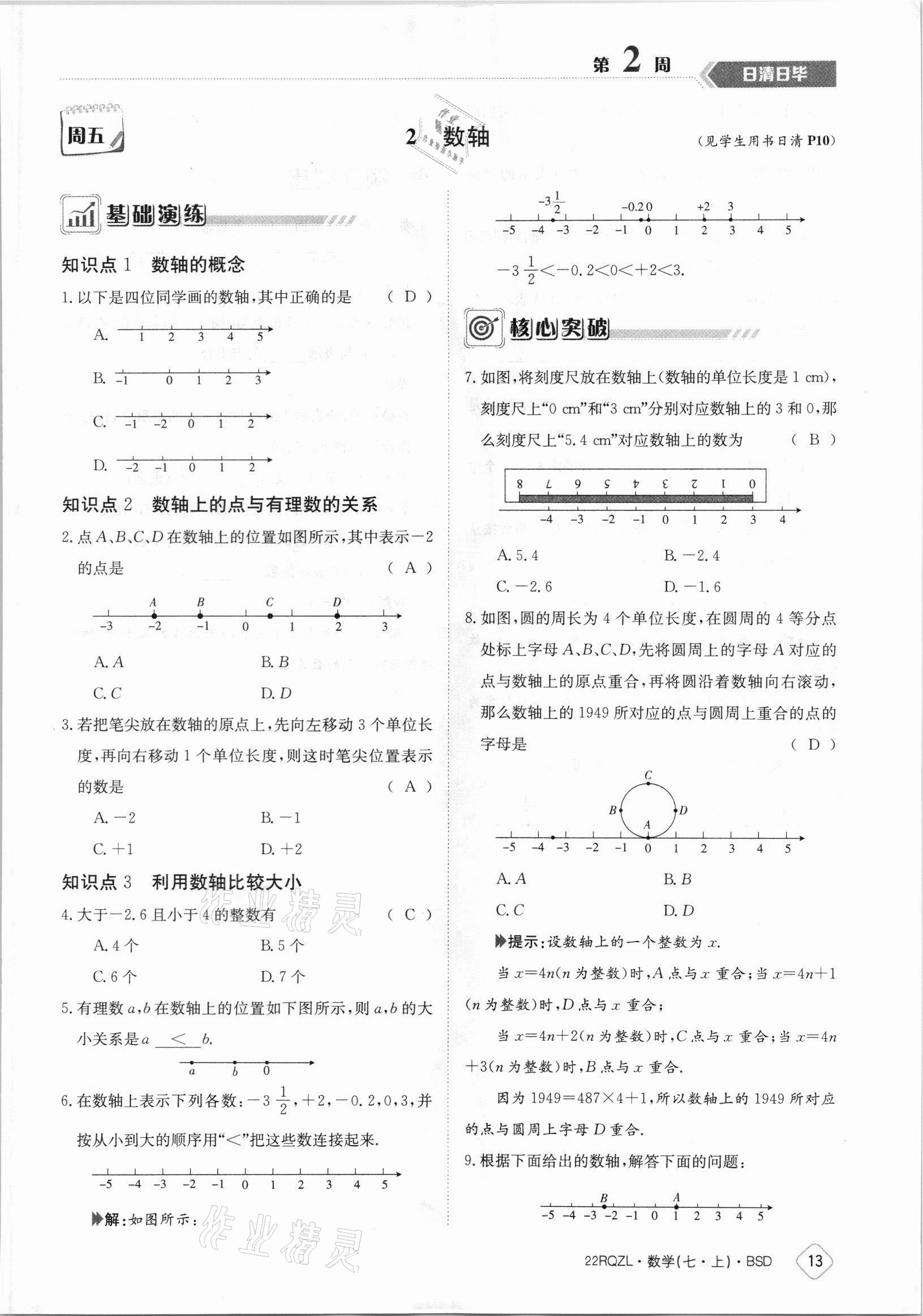 2021年日清周练七年级数学上册北师大版 参考答案第13页