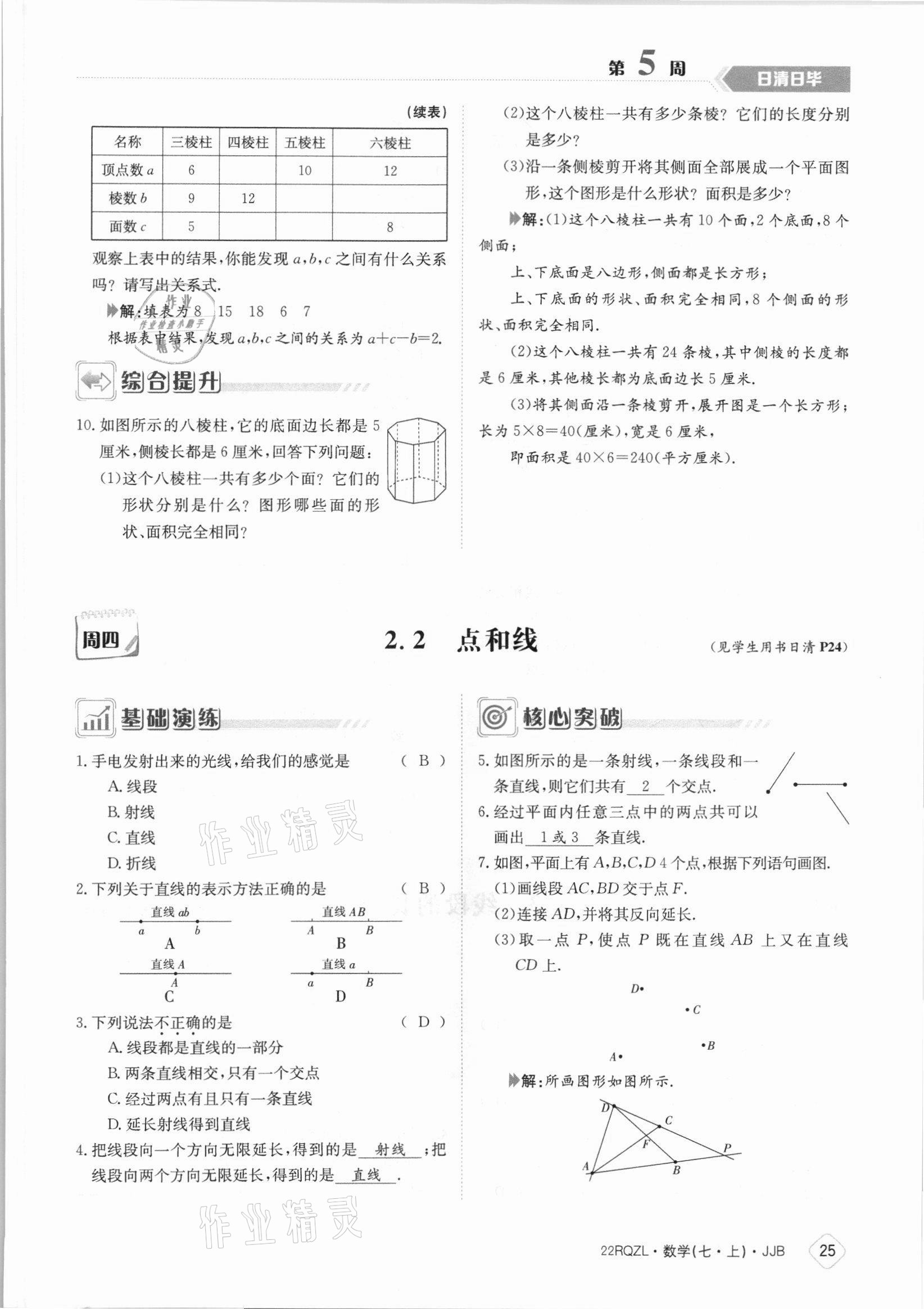 2021年日清周練七年級數(shù)學(xué)上冊冀教版 參考答案第25頁