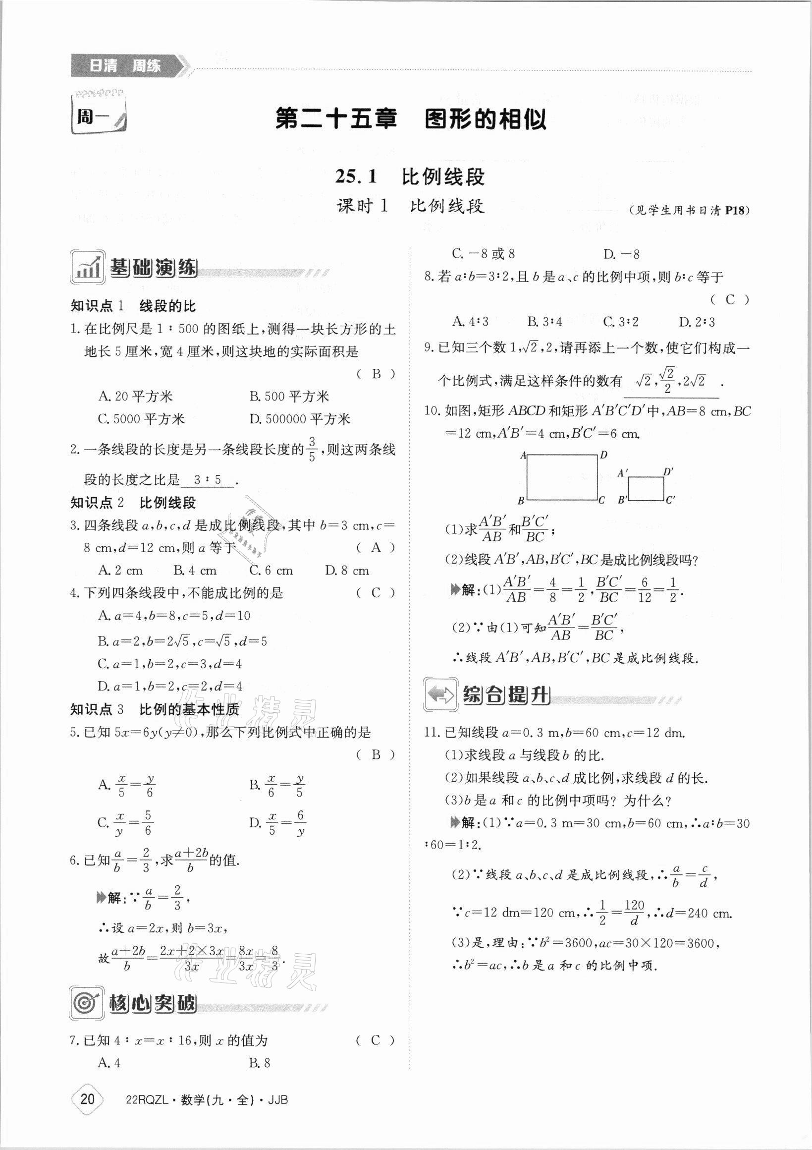 2021年日清周練九年級(jí)數(shù)學(xué)全一冊冀教版 參考答案第20頁