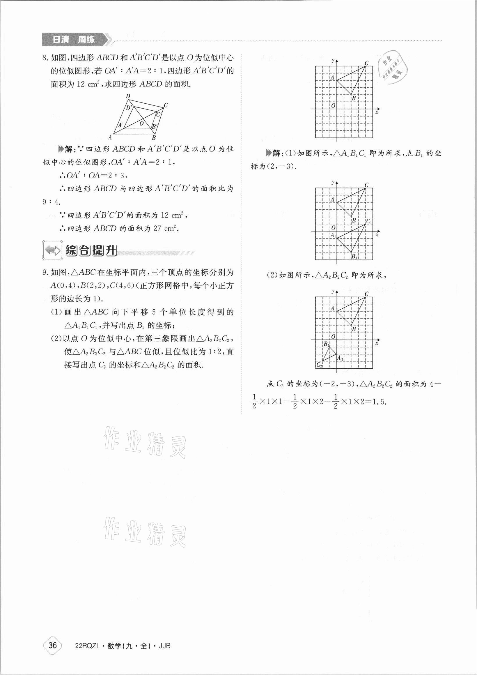 2021年日清周練九年級數(shù)學(xué)全一冊冀教版 參考答案第36頁