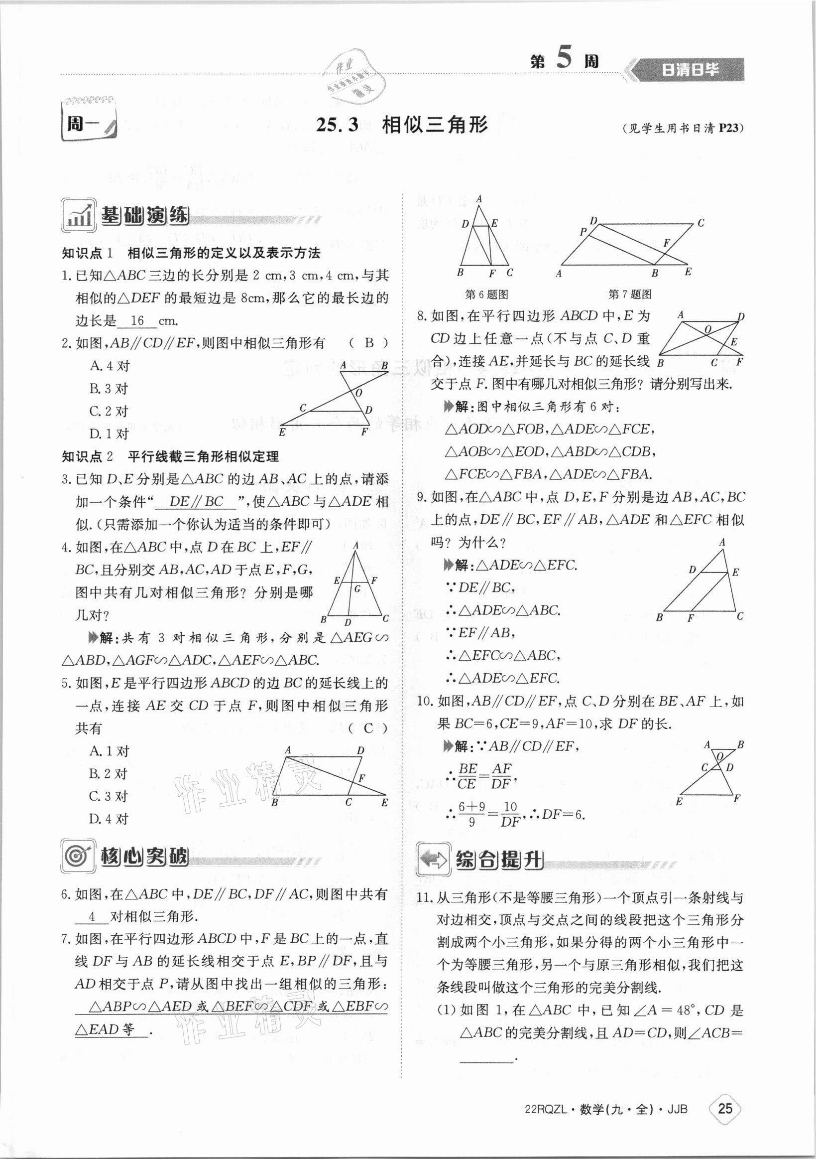 2021年日清周練九年級(jí)數(shù)學(xué)全一冊(cè)冀教版 參考答案第25頁