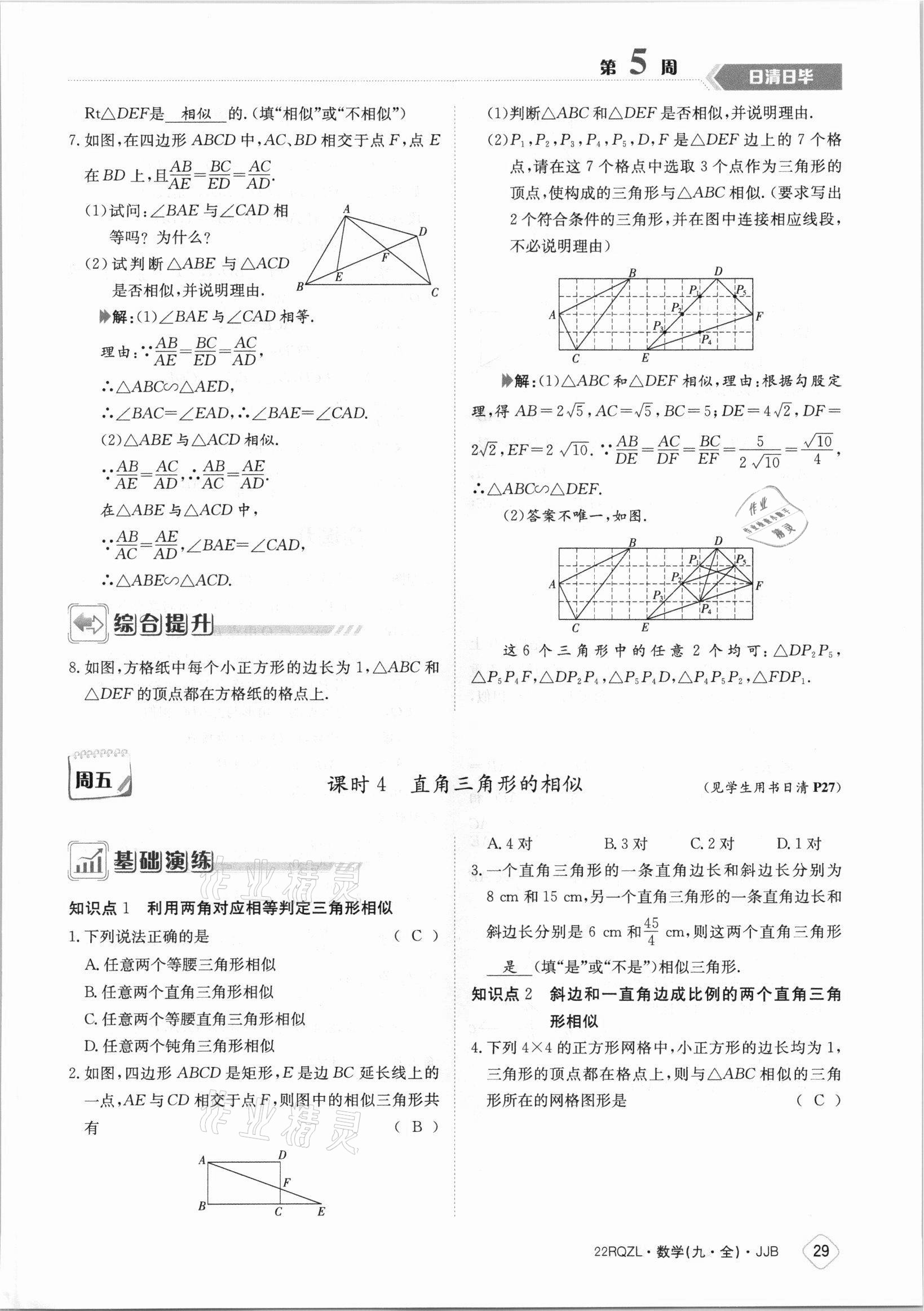 2021年日清周練九年級數(shù)學(xué)全一冊冀教版 參考答案第29頁