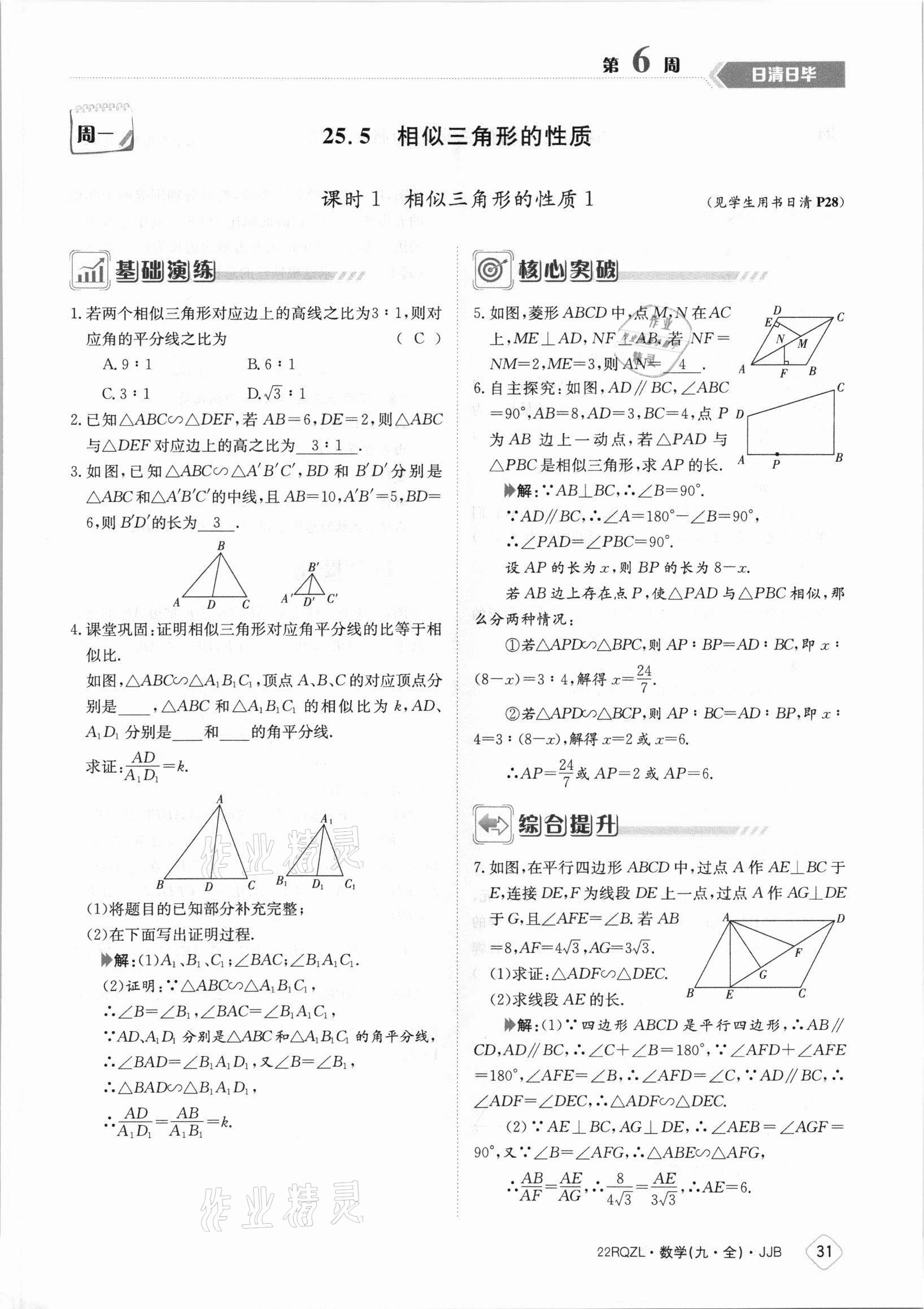 2021年日清周練九年級(jí)數(shù)學(xué)全一冊冀教版 參考答案第31頁