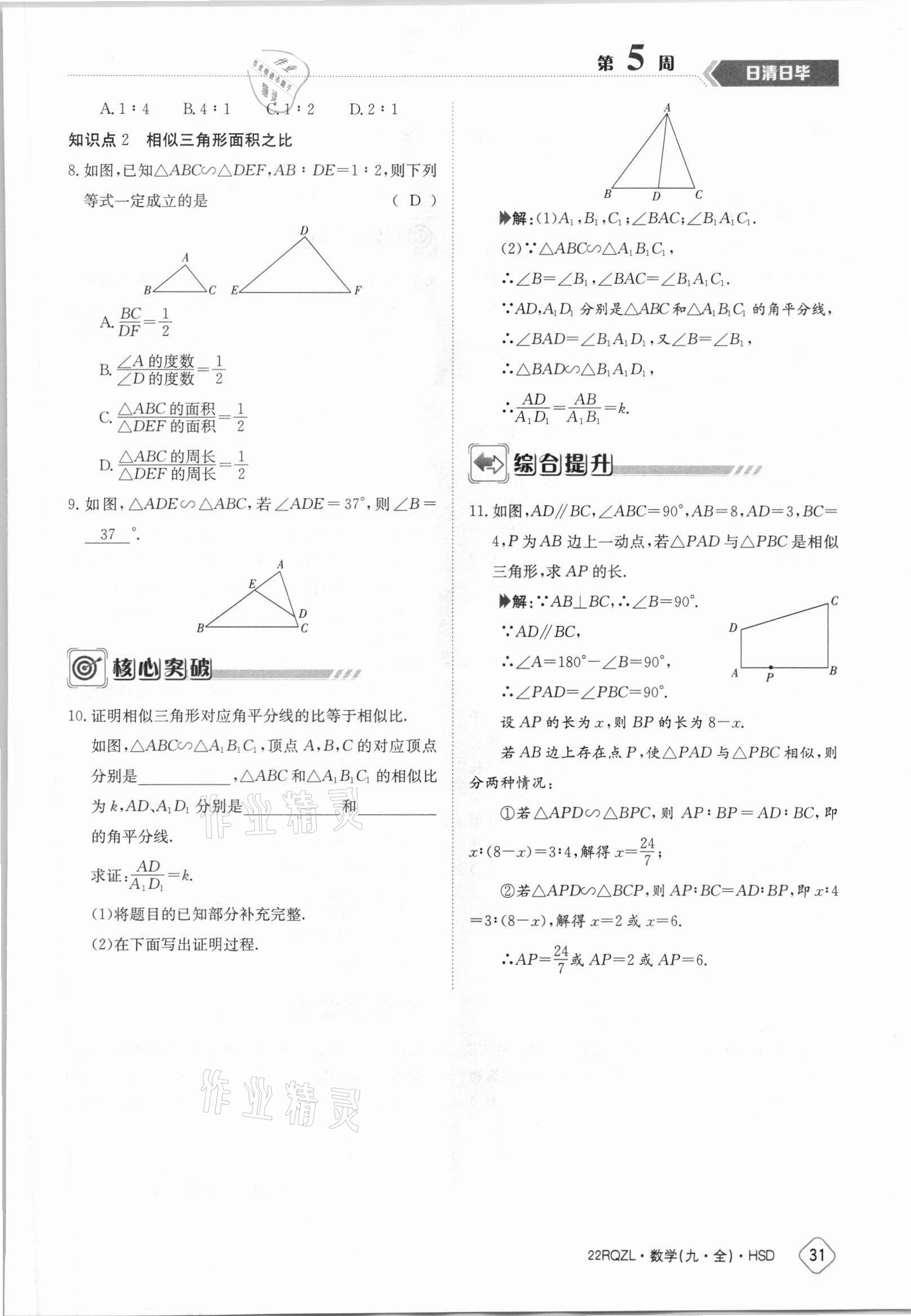 2021年日清周練九年級數(shù)學(xué)全一冊華師大版 參考答案第31頁