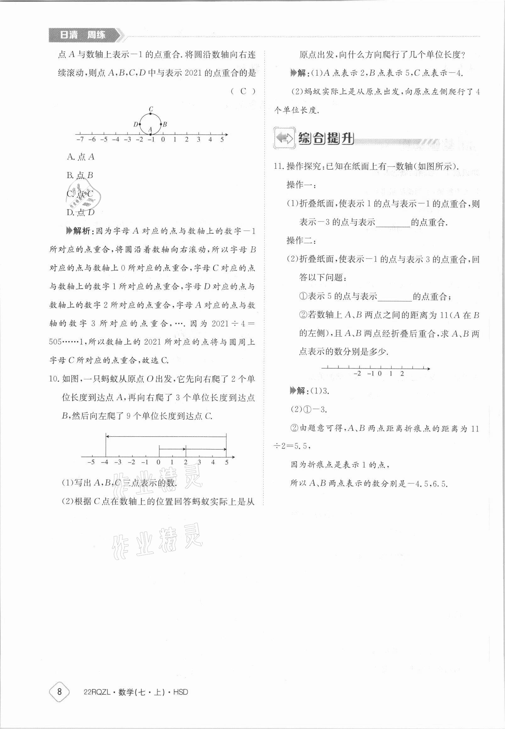 2021年日清周練七年級數(shù)學(xué)上冊華師大版 參考答案第8頁