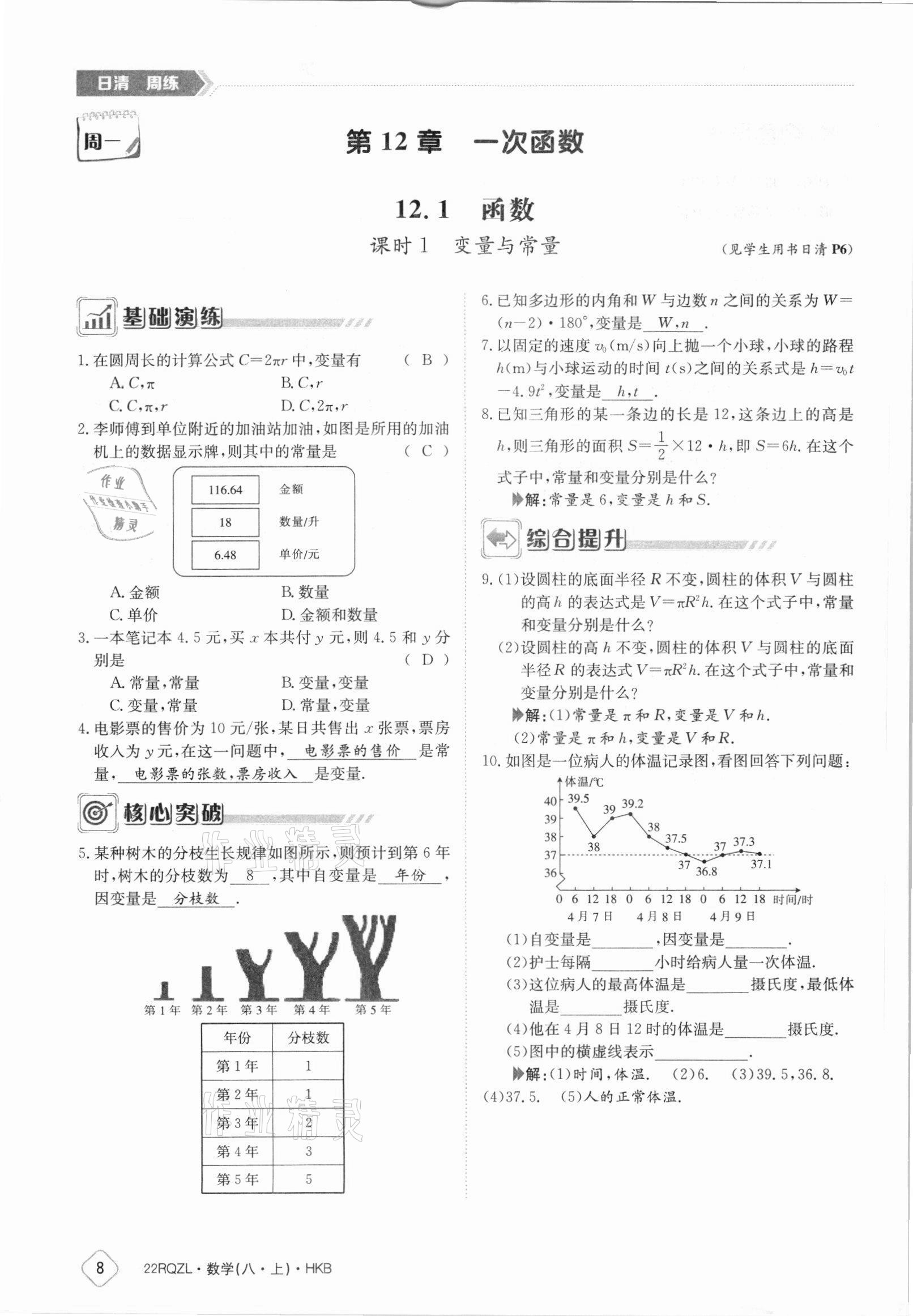 2021年日清周練八年級數(shù)學(xué)上冊滬科版 參考答案第8頁