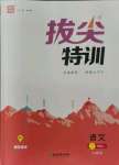 2021年拔尖特訓(xùn)二年級語文上冊人教版