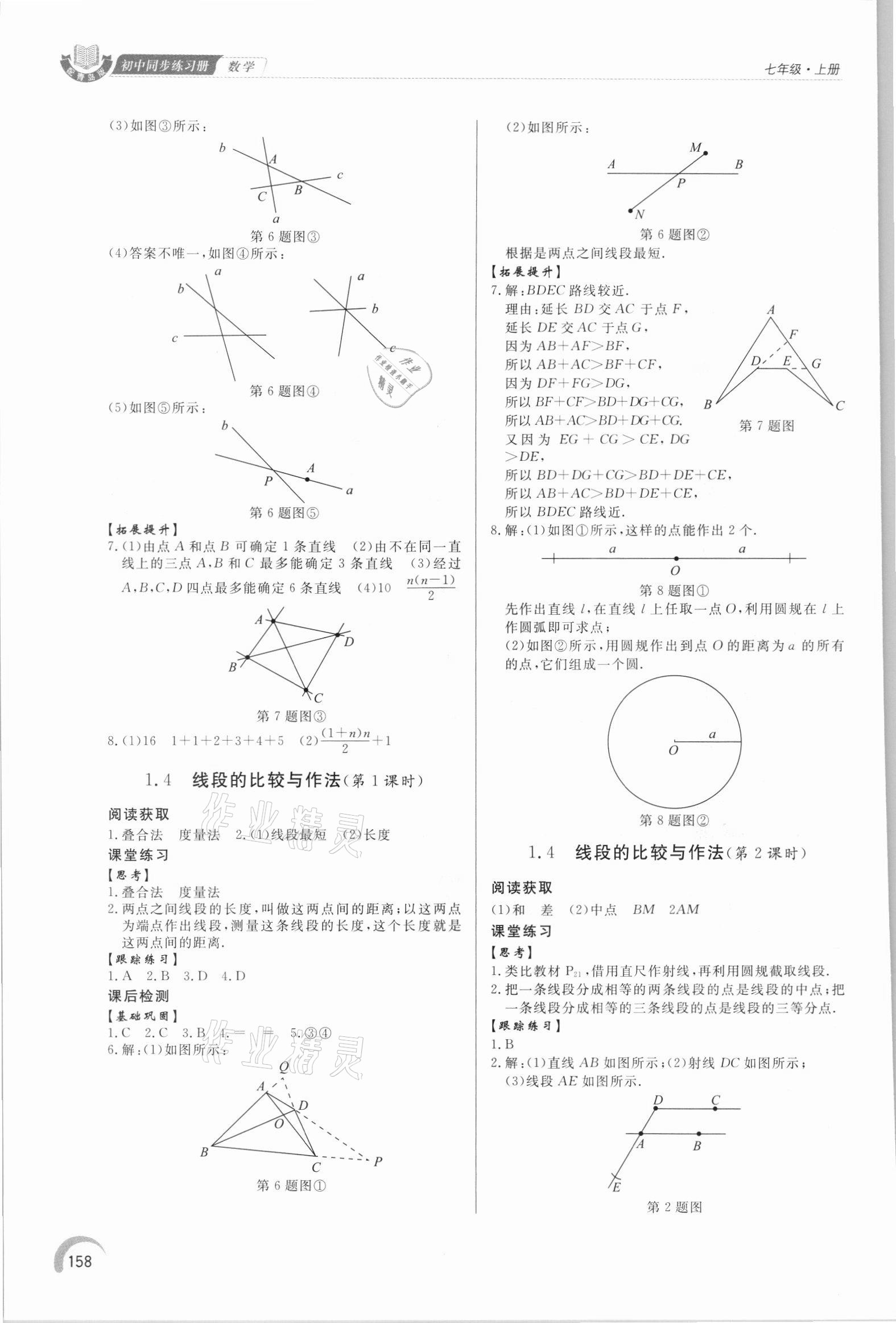 2021年同步練習(xí)冊泰山出版社七年級數(shù)學(xué)上冊青島版 參考答案第3頁