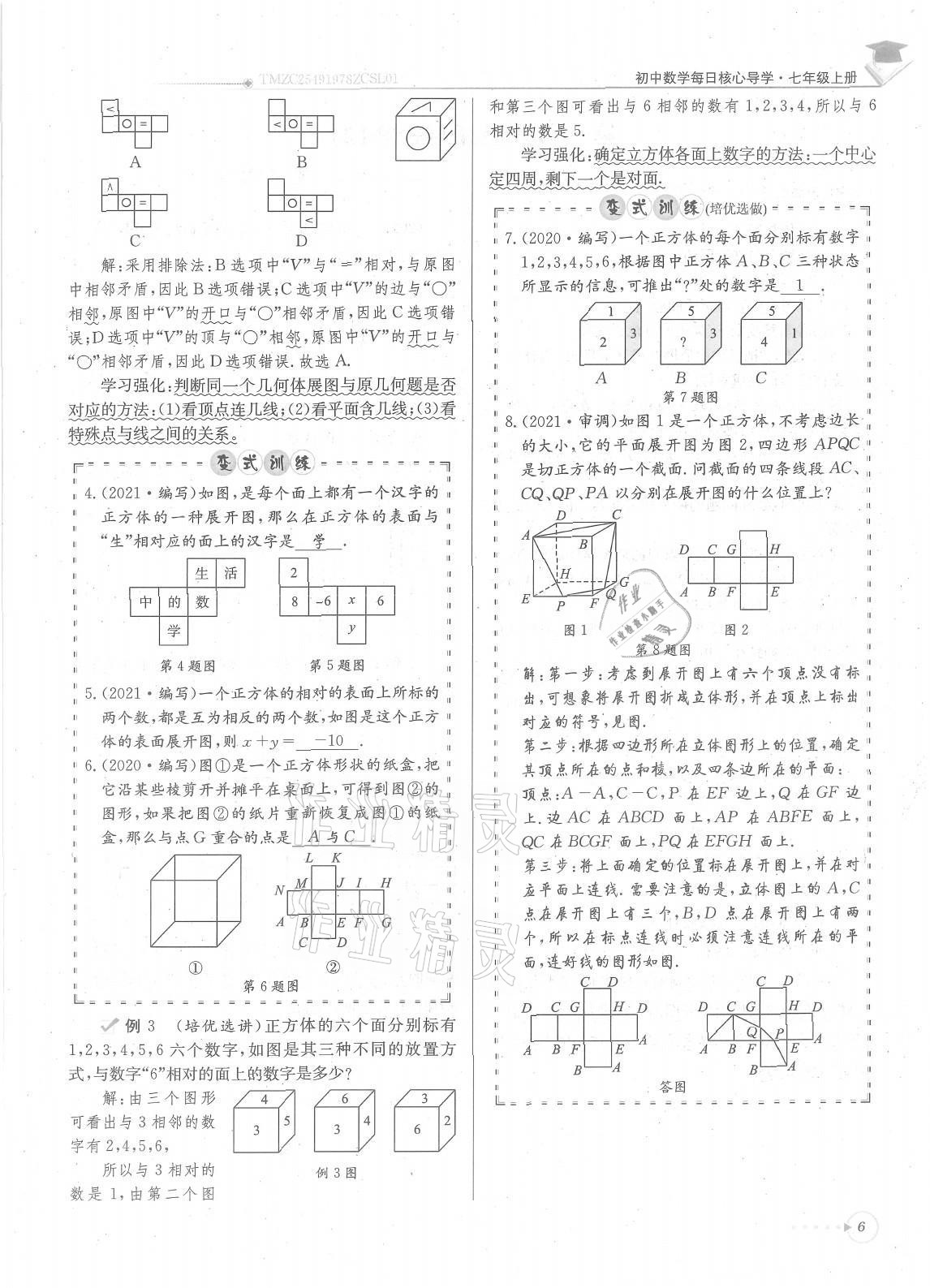 2021年每日核心导学七年级数学上册北师大版 参考答案第6页