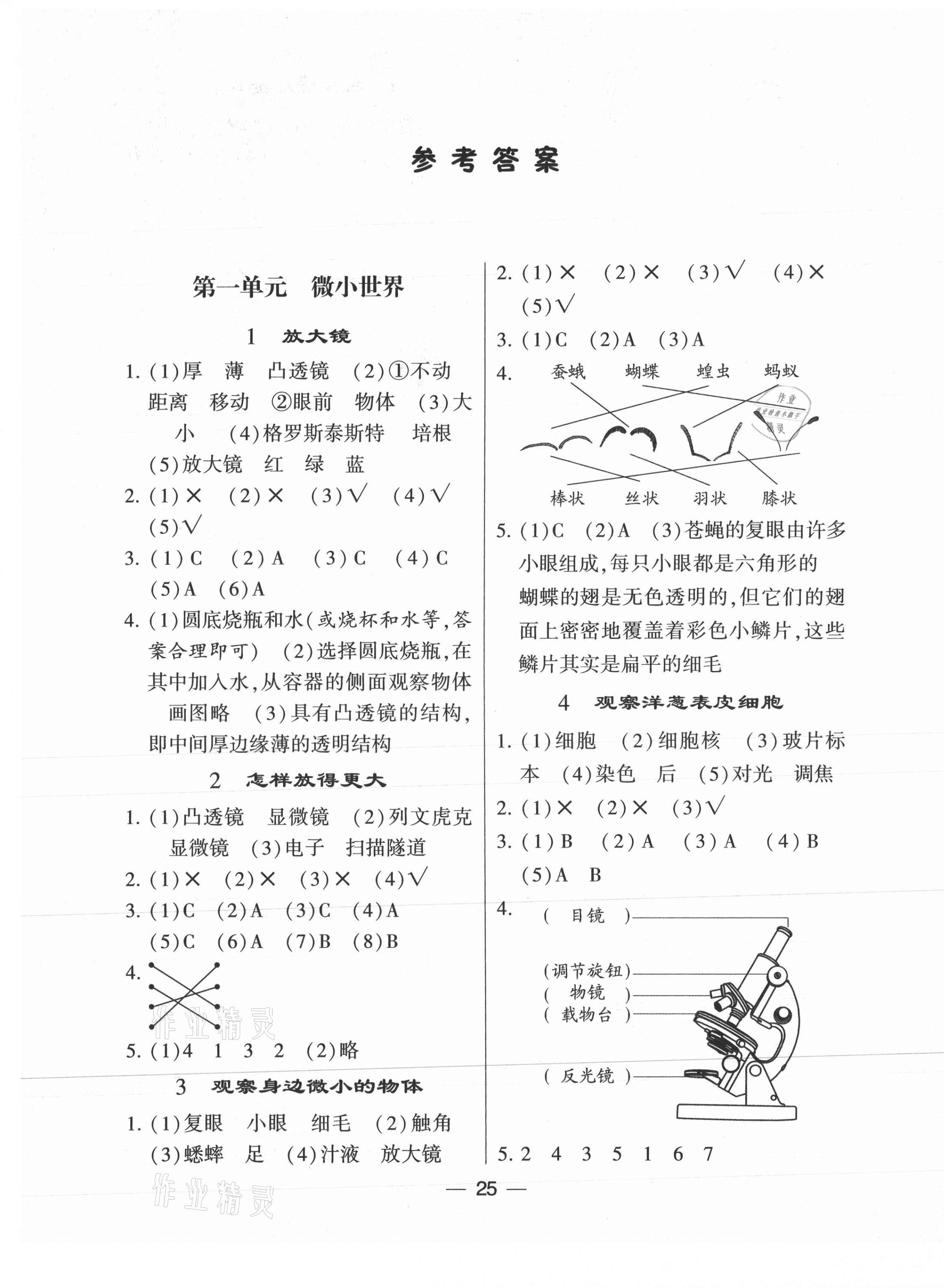 2021年棒棒堂学霸课时作业六年级科学上册教科版 第1页