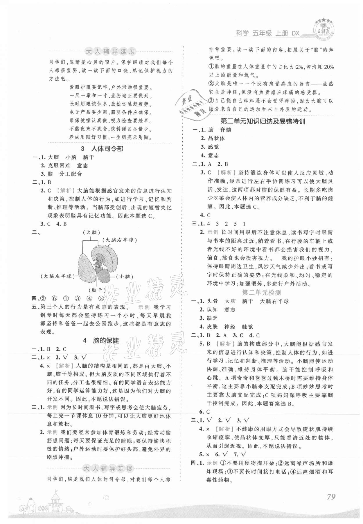 2021年創(chuàng)維新課堂五年級科學上冊大象版 第3頁