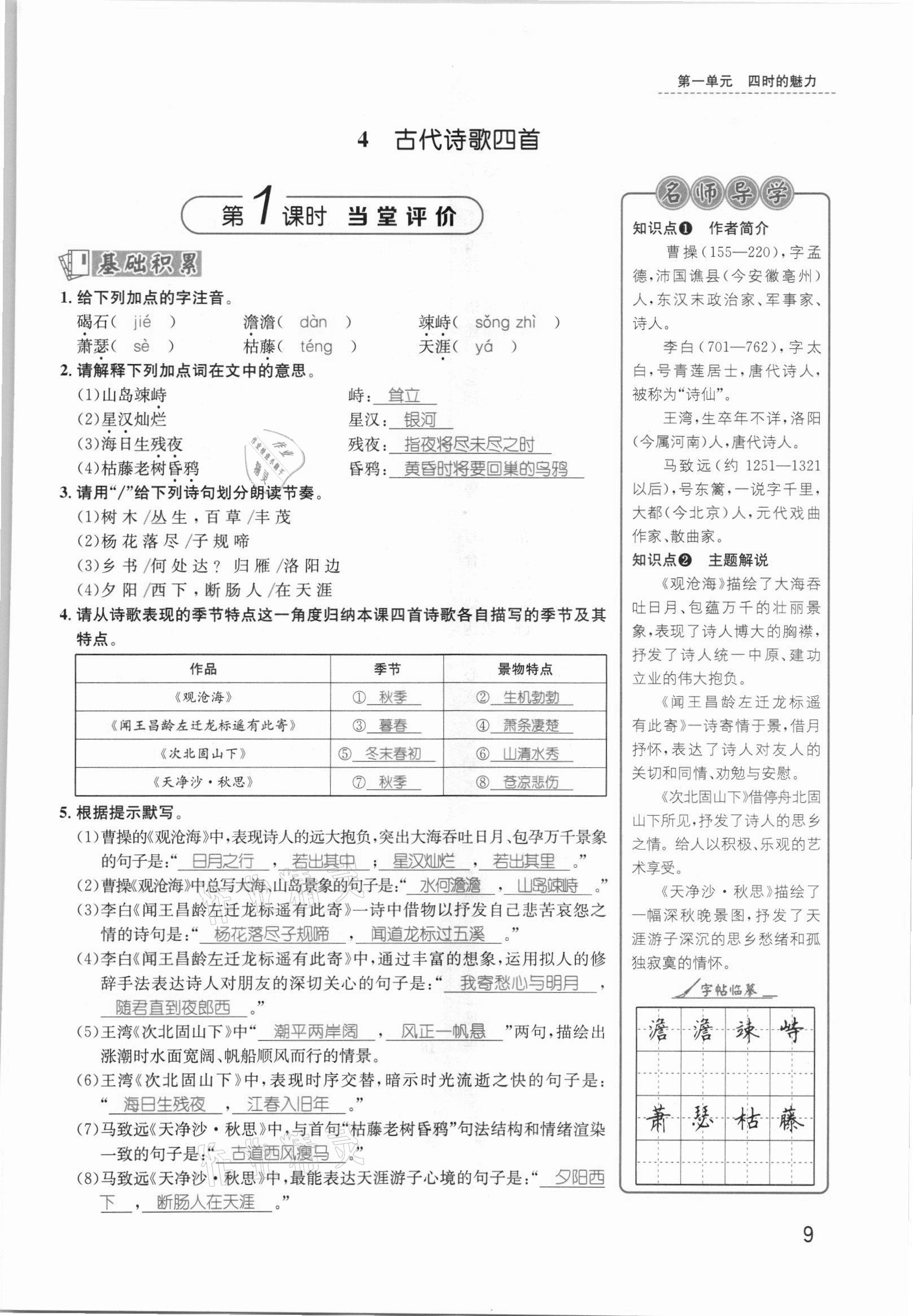 2021年名师测控七年级语文上册人教版安徽专版 参考答案第13页