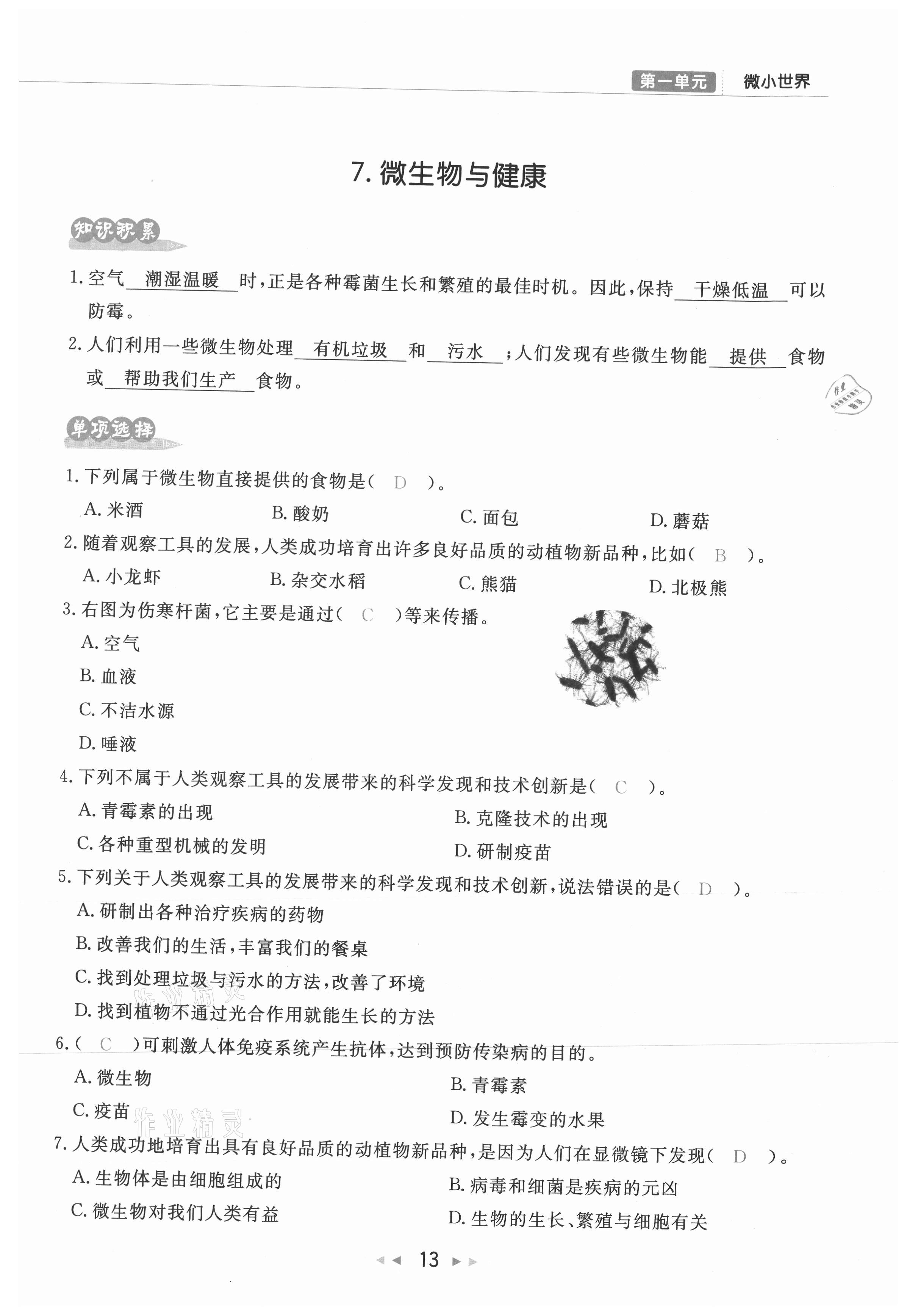 2021年小学学习好帮手六年级科学上册教科版 参考答案第13页