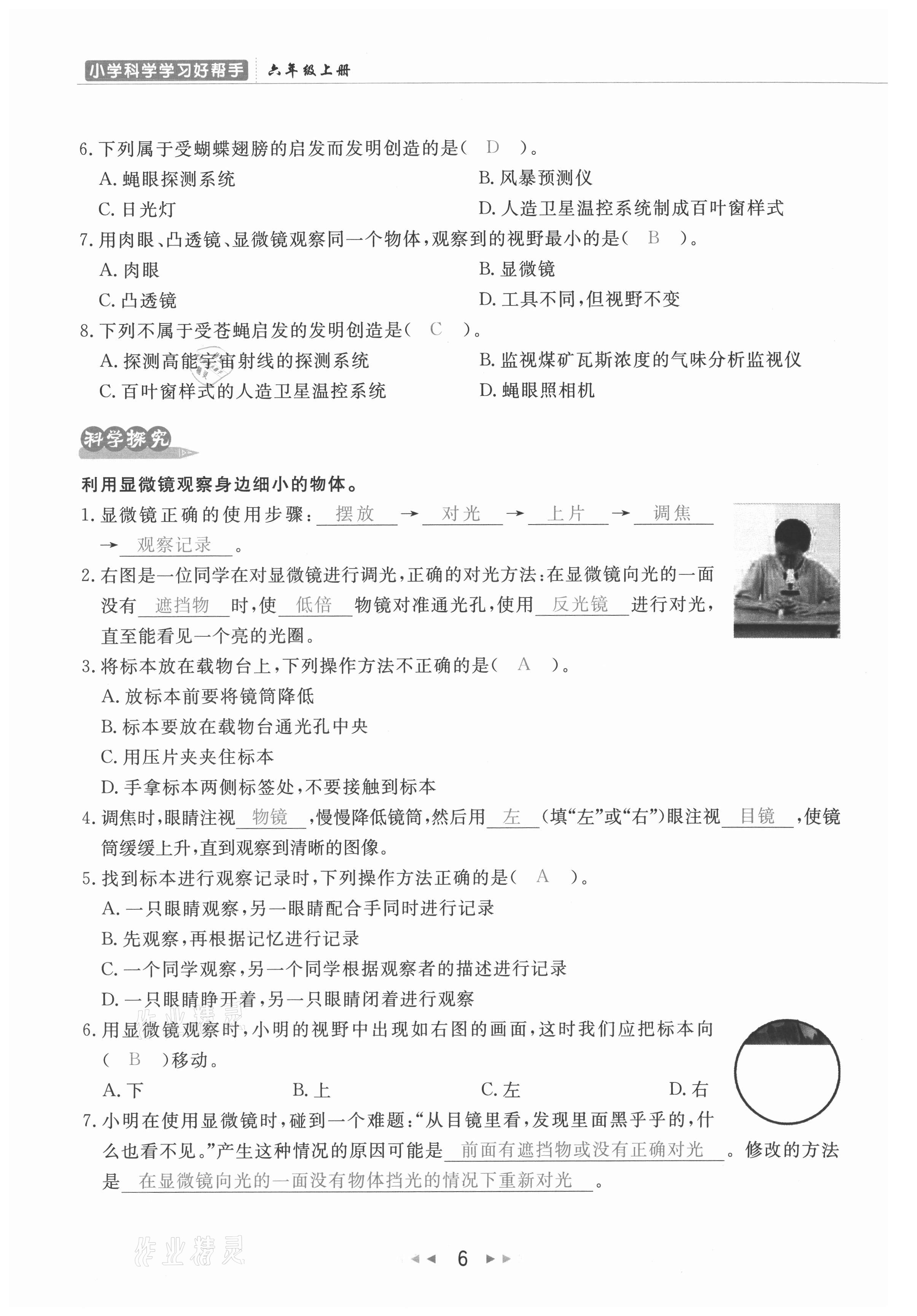 2021年小学学习好帮手六年级科学上册教科版 参考答案第6页