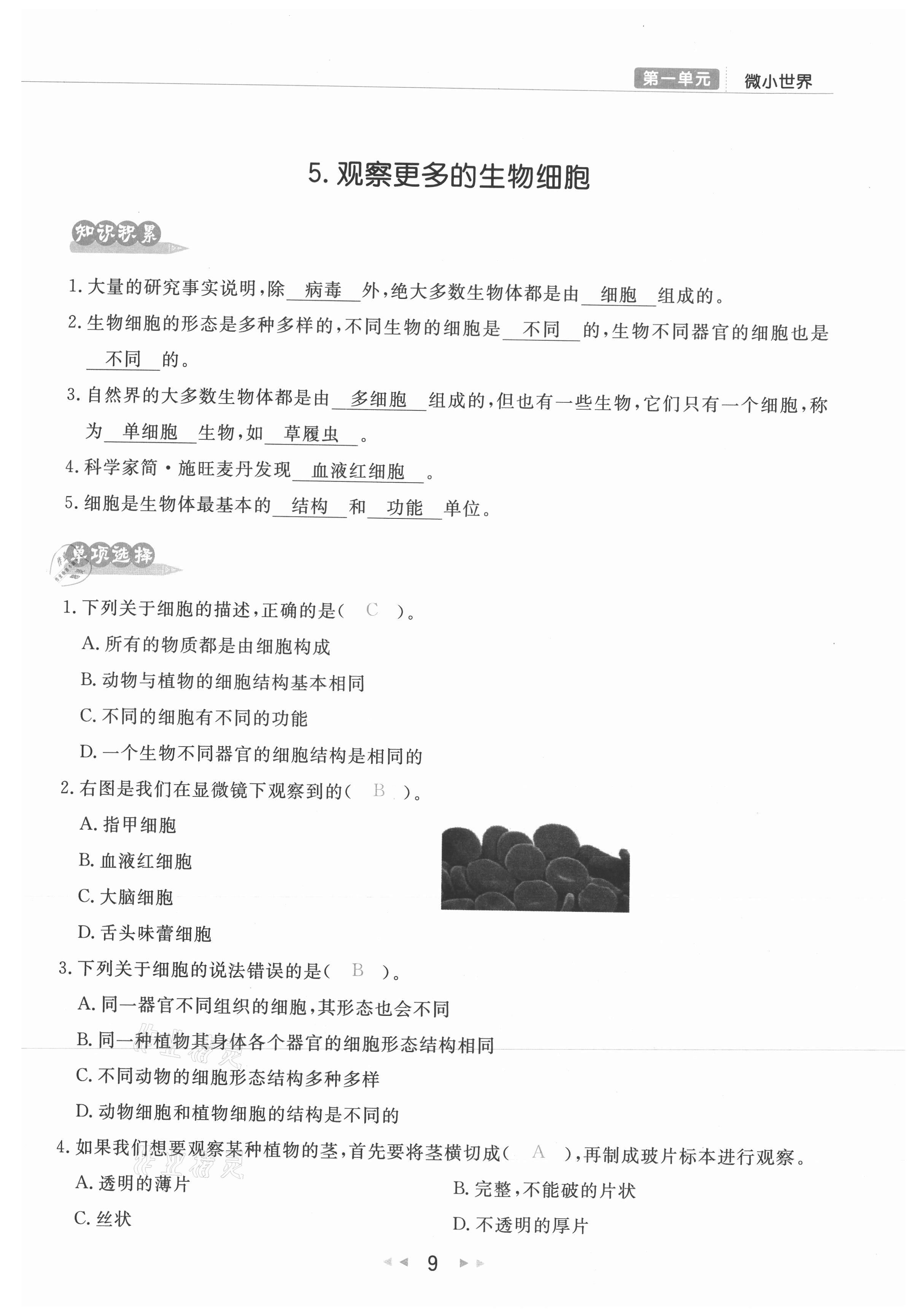 2021年小学学习好帮手六年级科学上册教科版 参考答案第9页