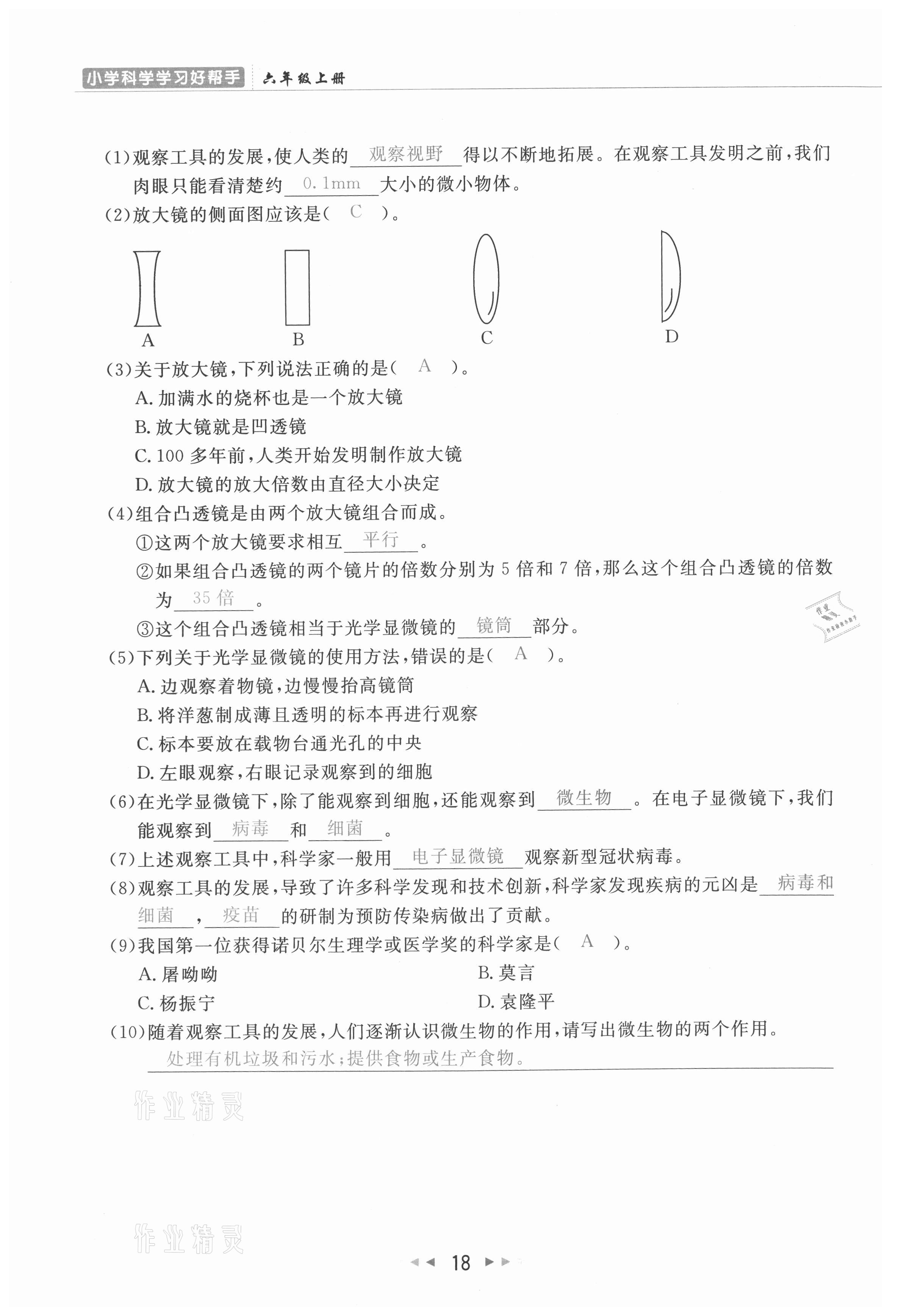 2021年小学学习好帮手六年级科学上册教科版 参考答案第18页