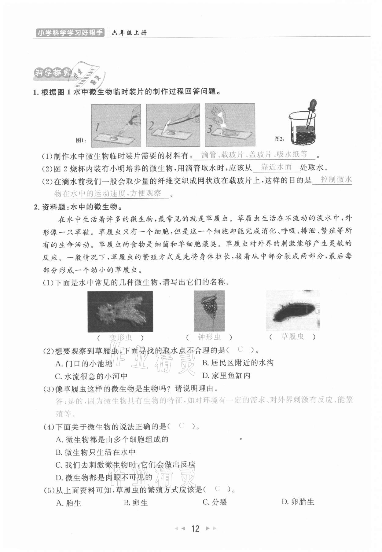 2021年小学学习好帮手六年级科学上册教科版 参考答案第12页