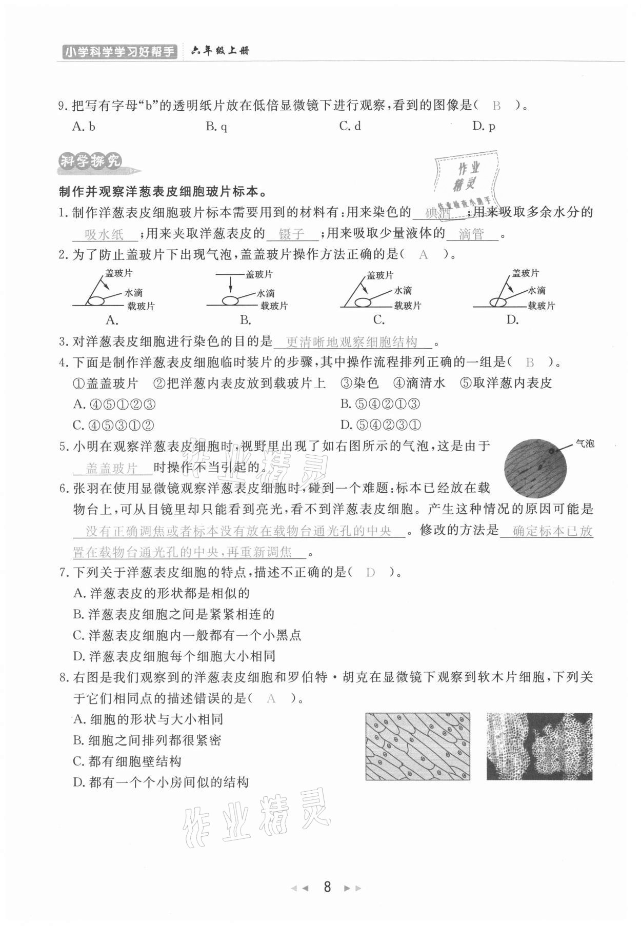 2021年小学学习好帮手六年级科学上册教科版 参考答案第8页